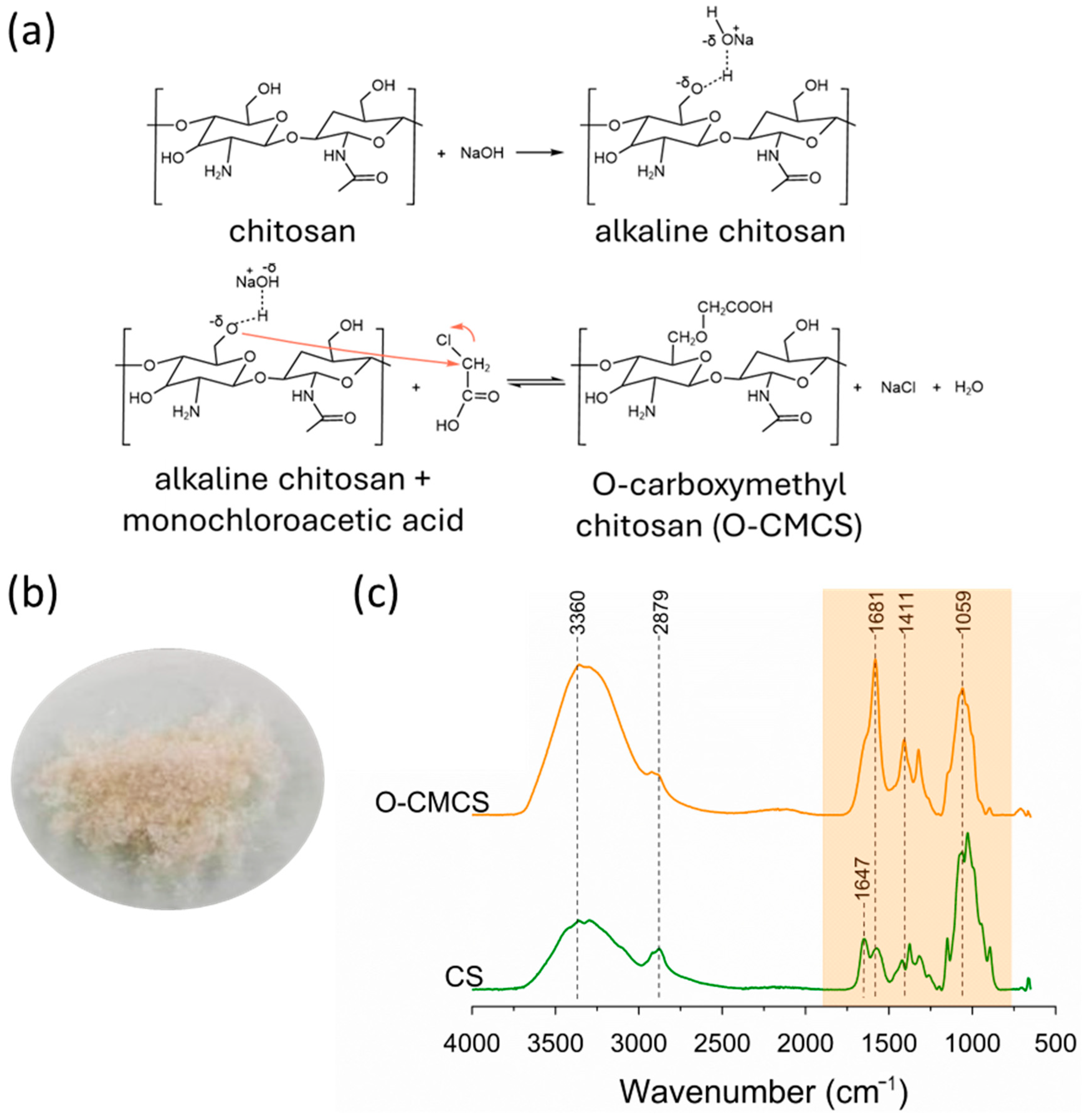 Polymers 16 02615 g001 Polymers 16 02615 g001