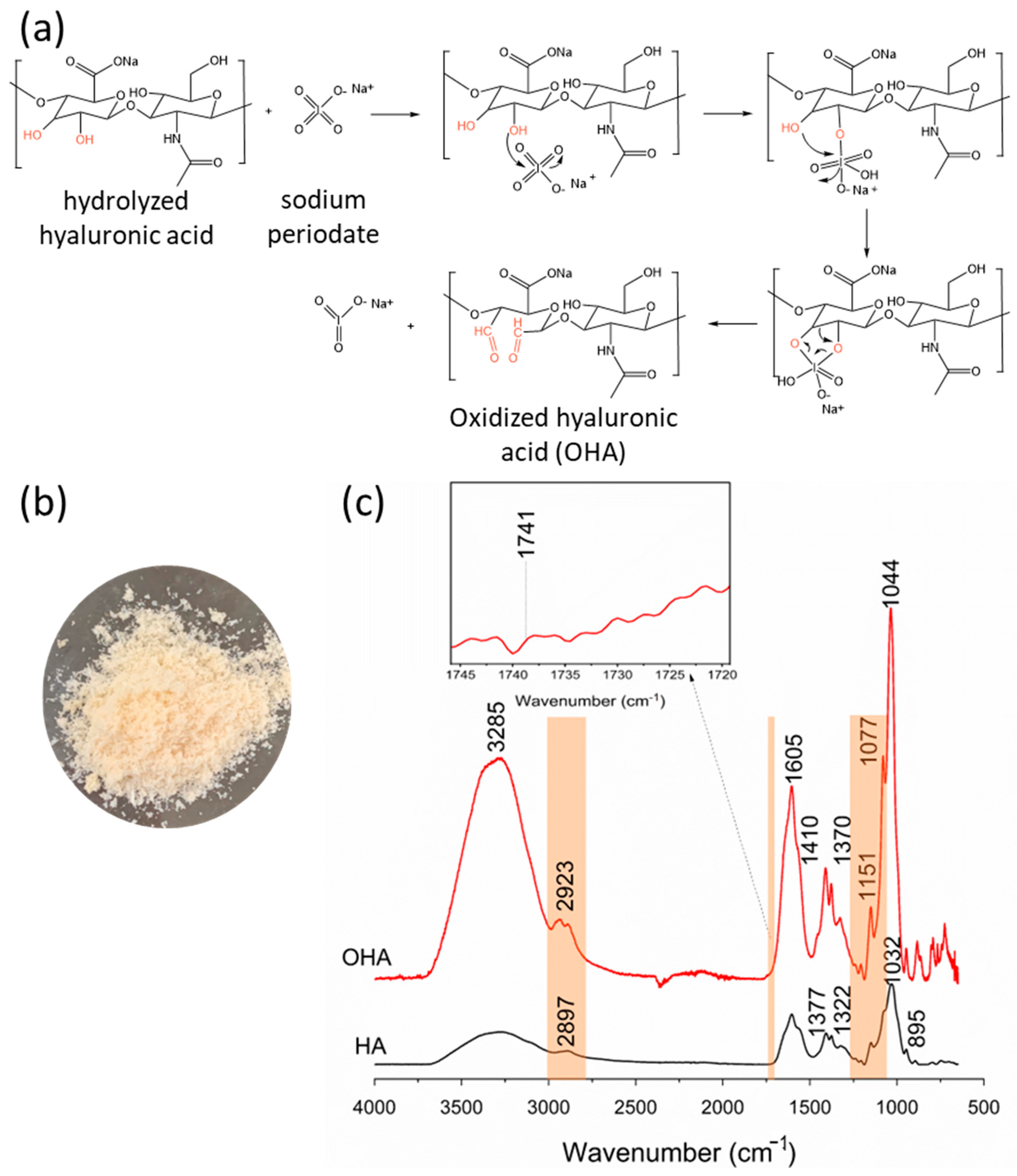 Polymers 16 02615 g002 Polymers 16 02615 g002
