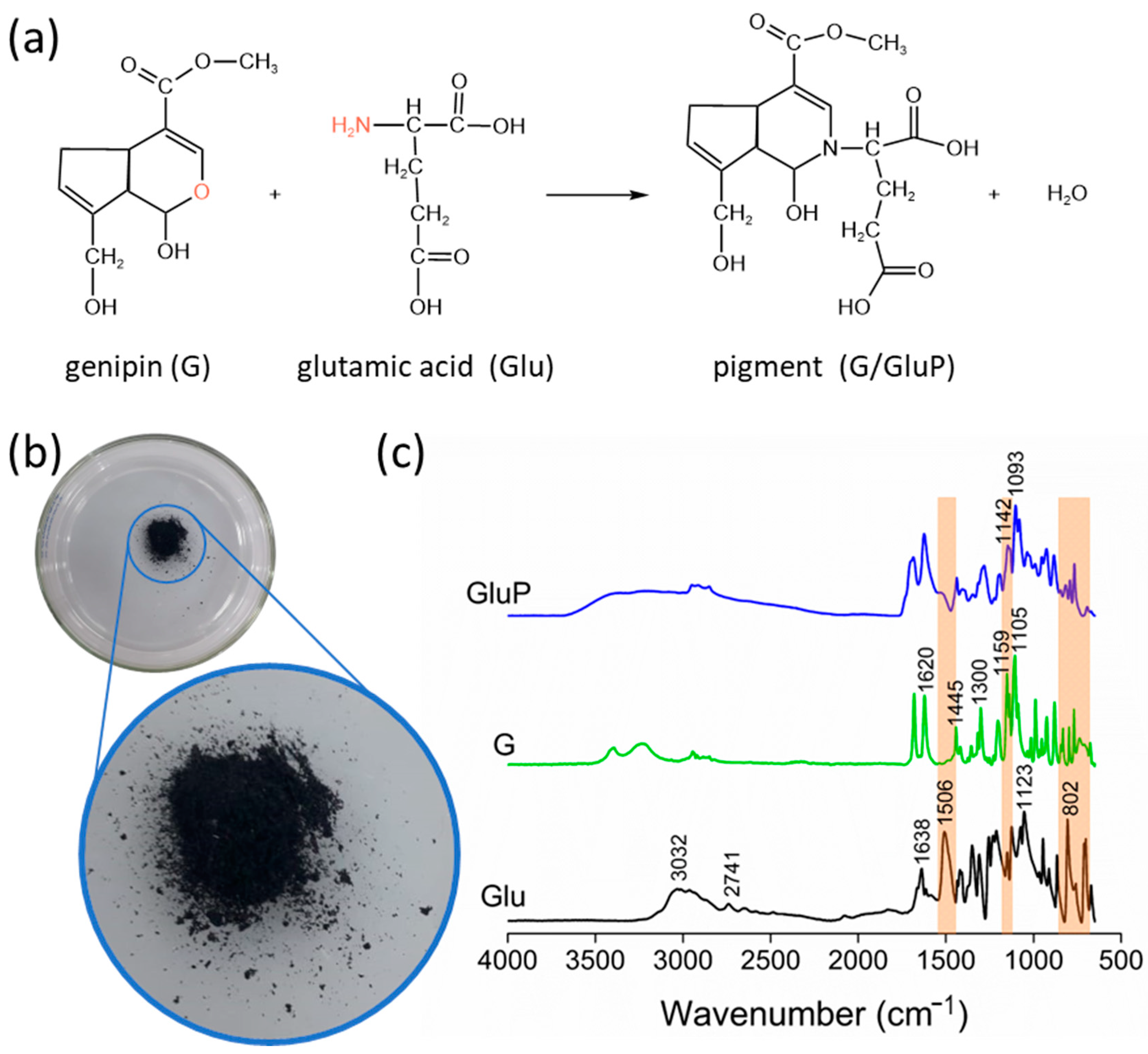 Polymers 16 02615 g003 Polymers 16 02615 g003