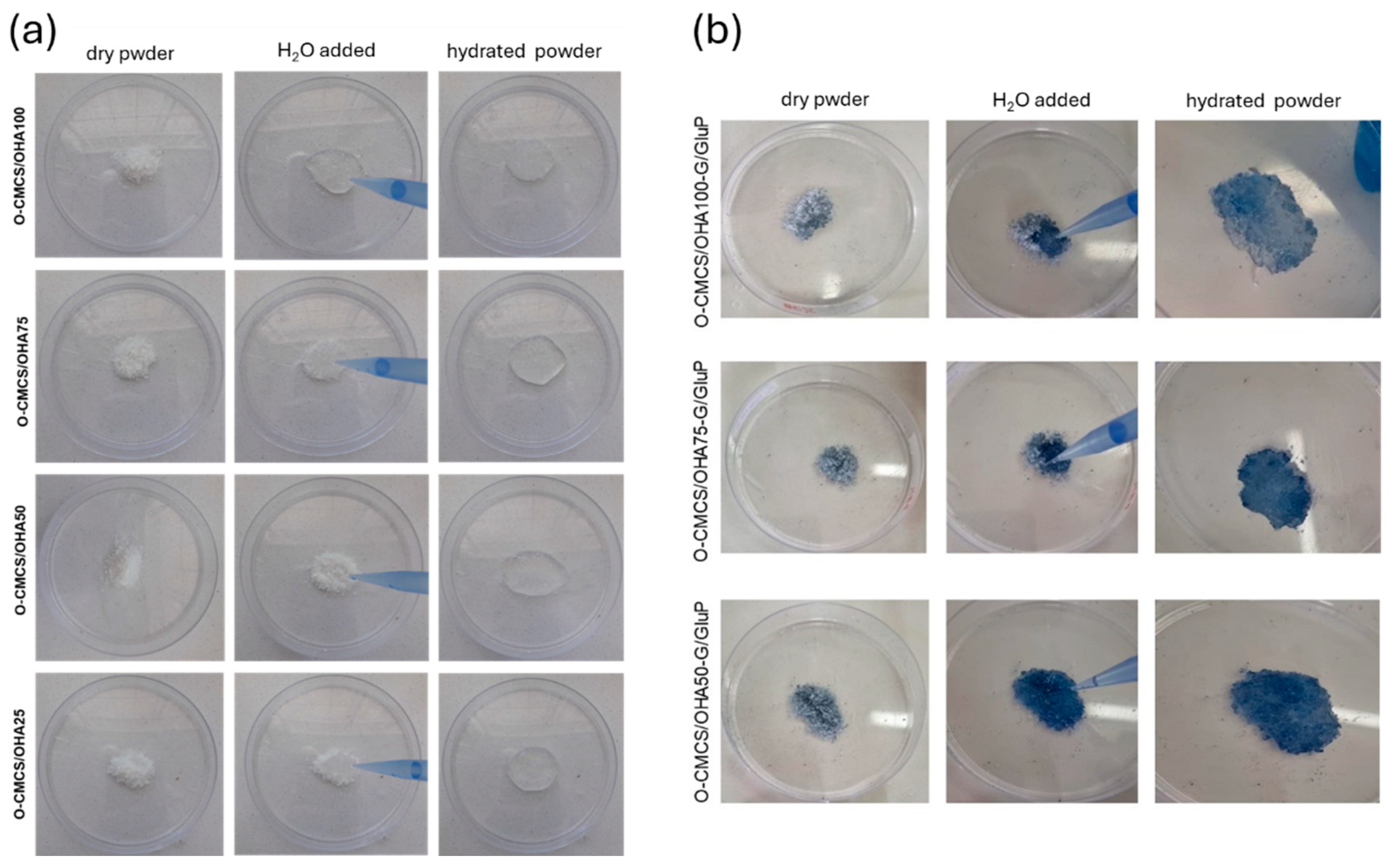 Polymers 16 02615 g004 Polymers 16 02615 g004