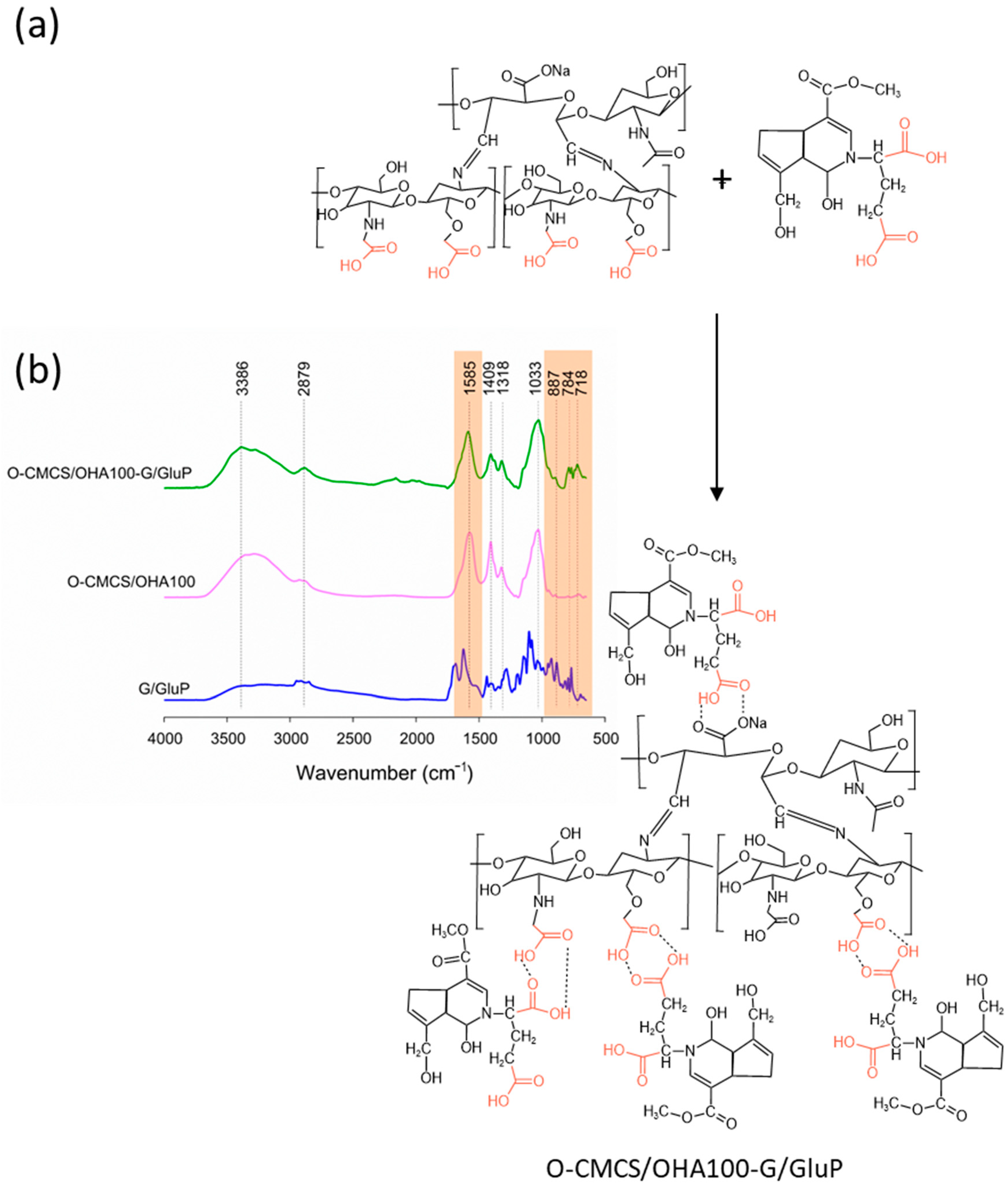 Polymers 16 02615 g005 Polymers 16 02615 g005