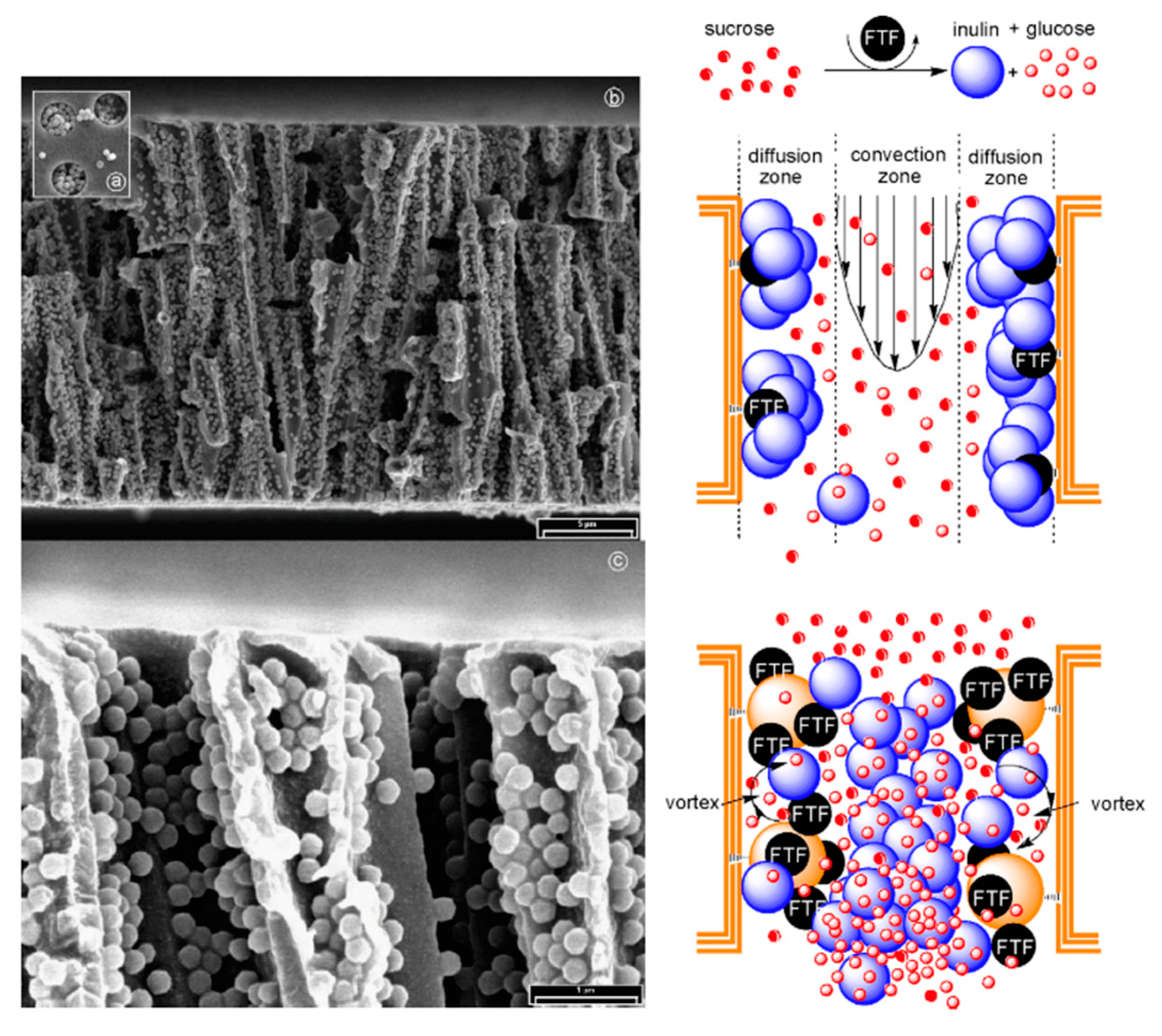 Polymers 16 02616 g018 Polymers 16 02616 g018