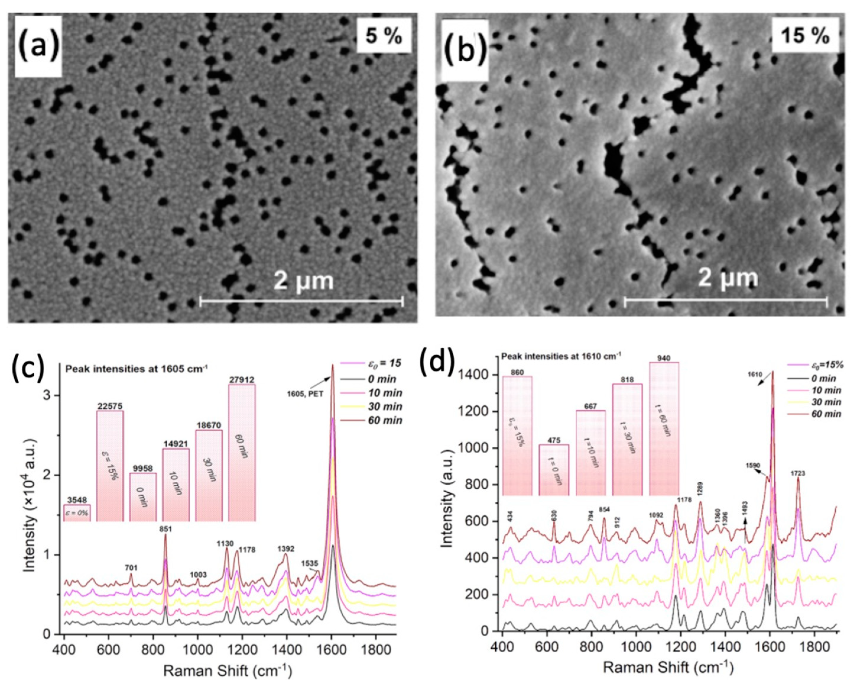 Polymers 16 02616 g021 Polymers 16 02616 g021