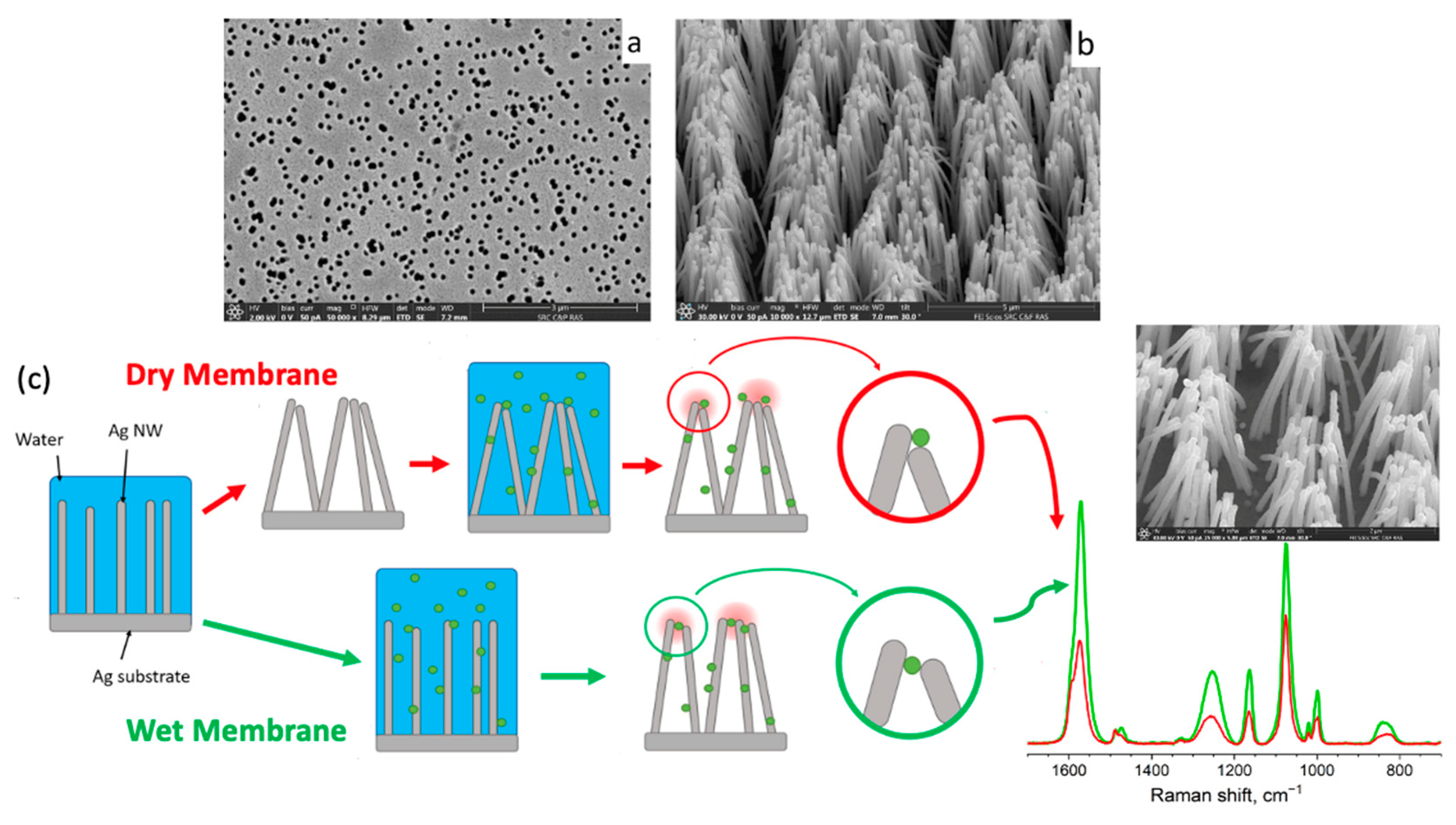 Polymers 16 02616 g022 Polymers 16 02616 g022