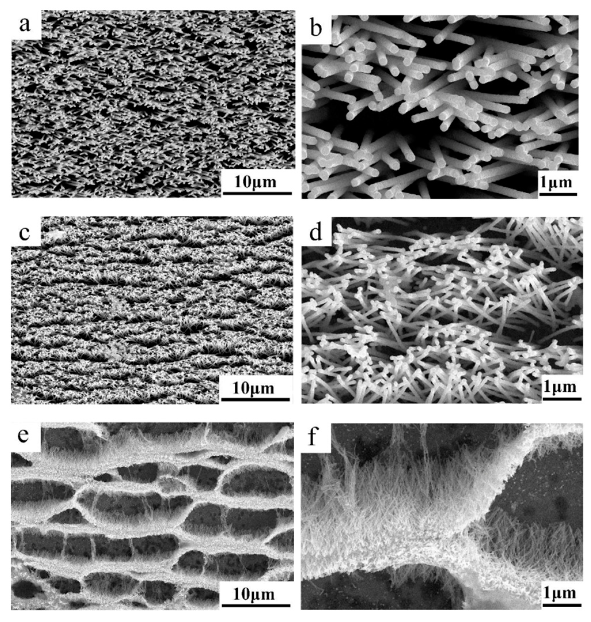 Polymers 16 02616 g023 Polymers 16 02616 g023