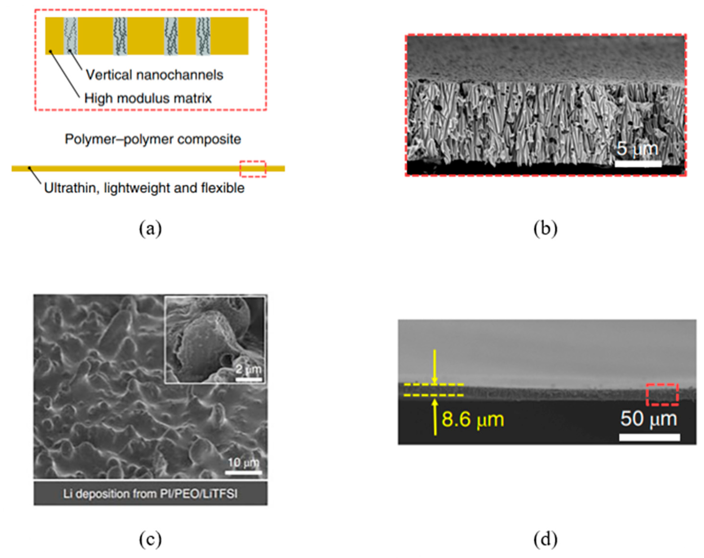Polymers 16 02616 g027 Polymers 16 02616 g027