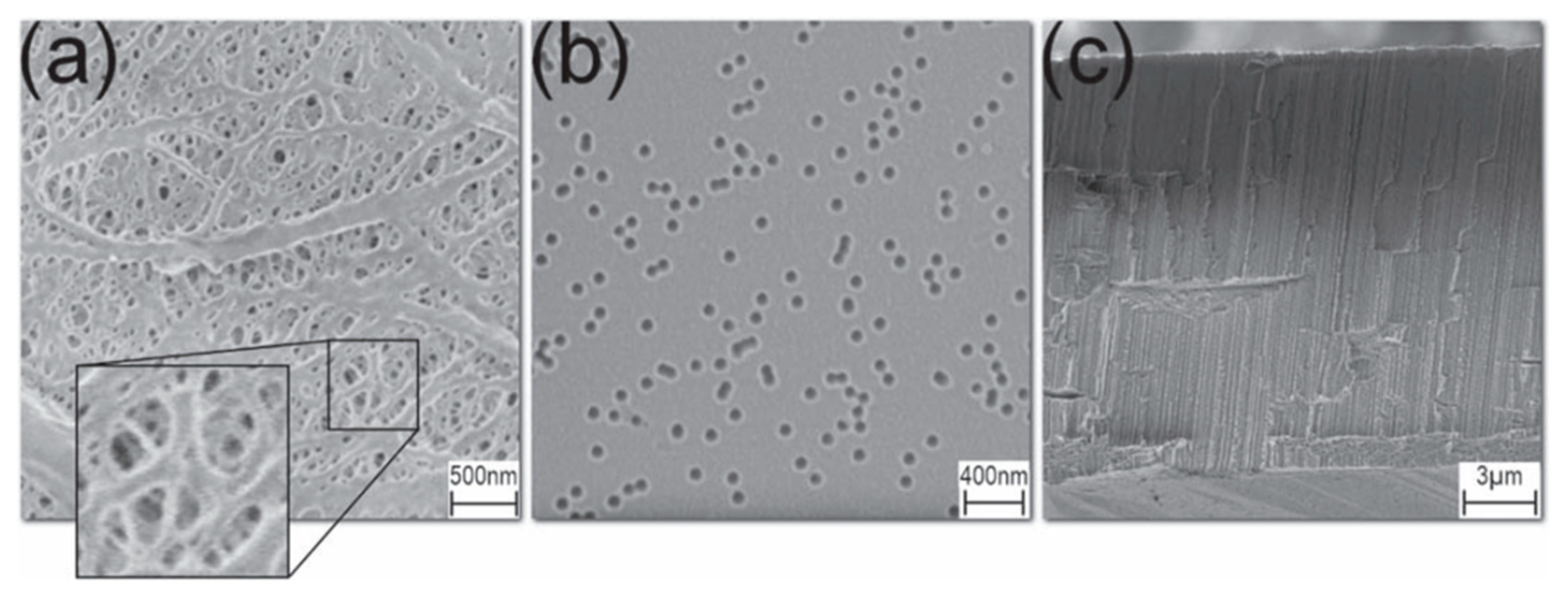 Polymers 16 02616 g028 Polymers 16 02616 g028