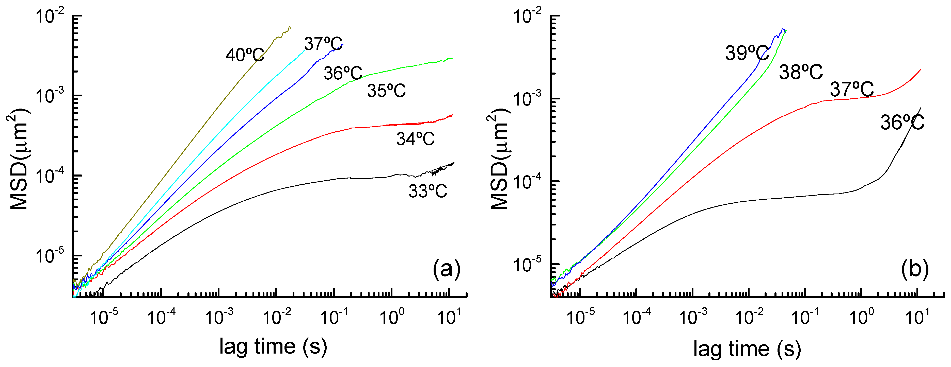 Polymers 16 02618 g004
