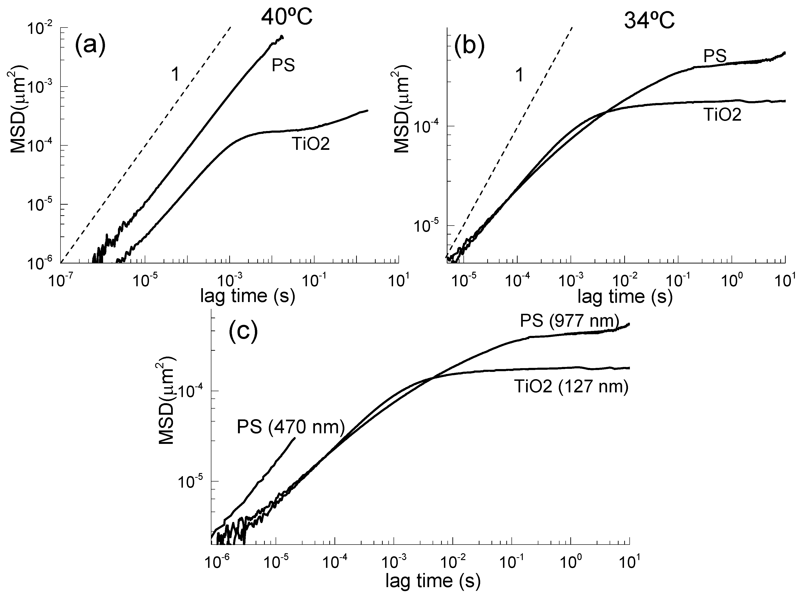 Polymers 16 02618 g005