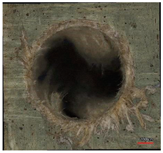 Polymers 16 02620 i007