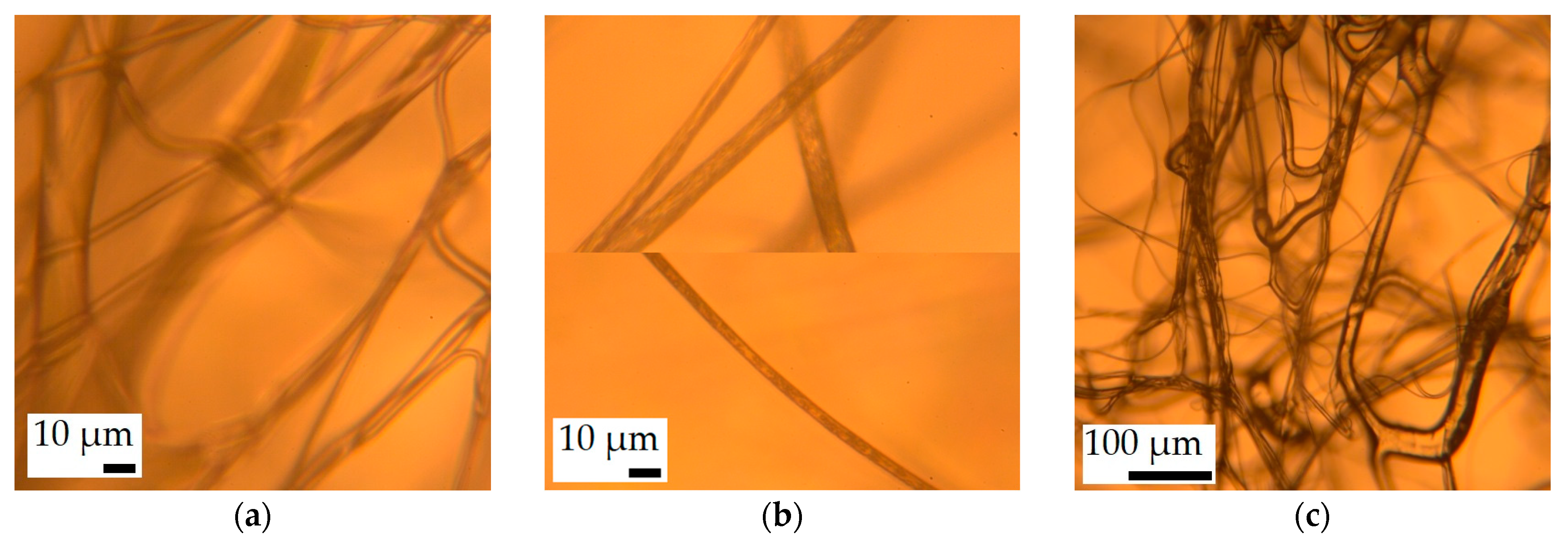 Polymers 16 02624 g004