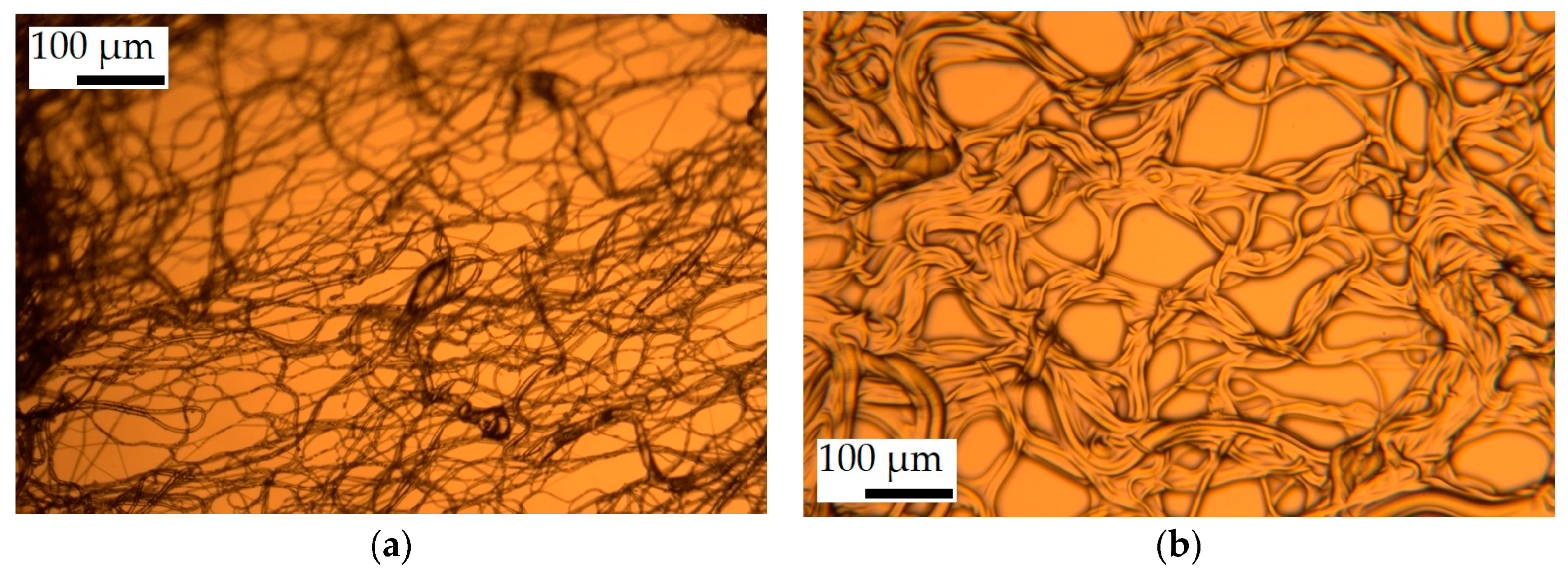 Polymers 16 02624 g007a
