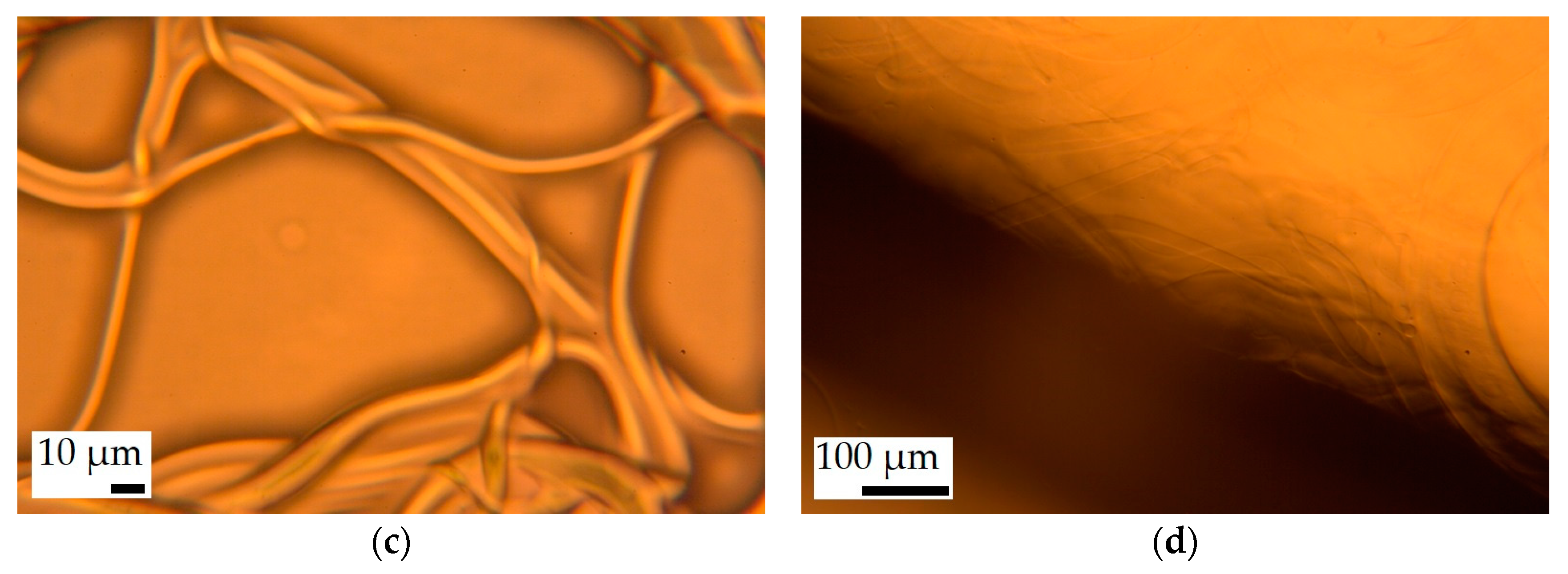 Polymers 16 02624 g007b