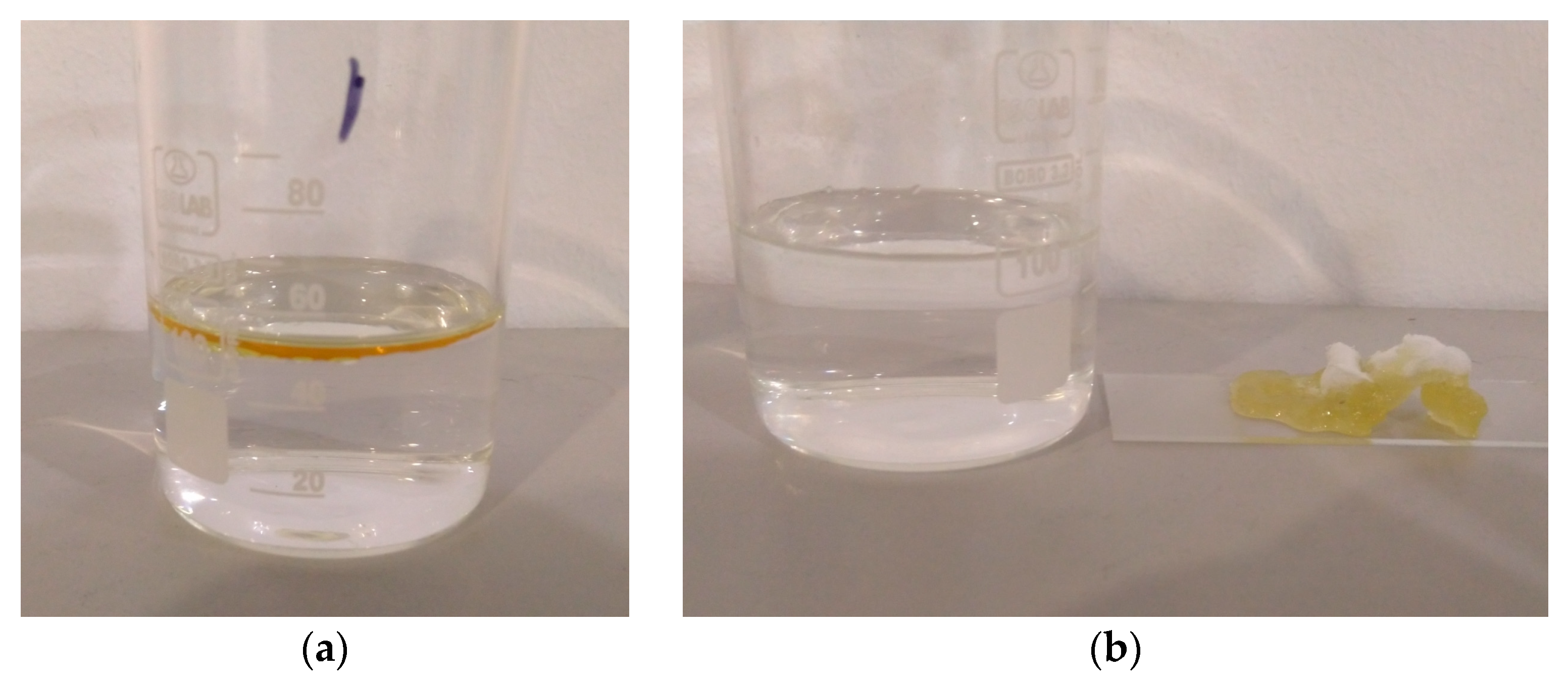 Polymers 16 02624 g012