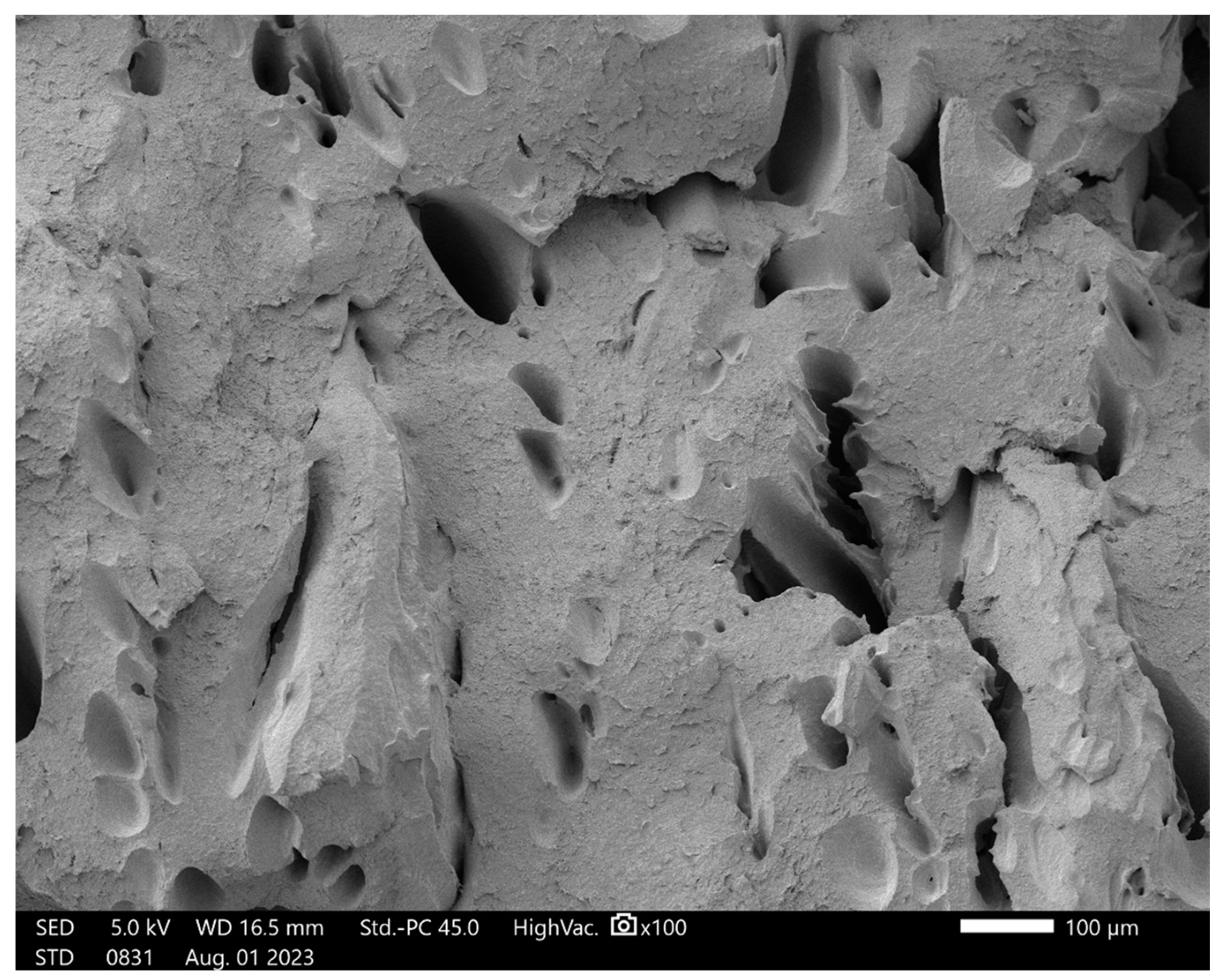 Polymers 16 02625 g018