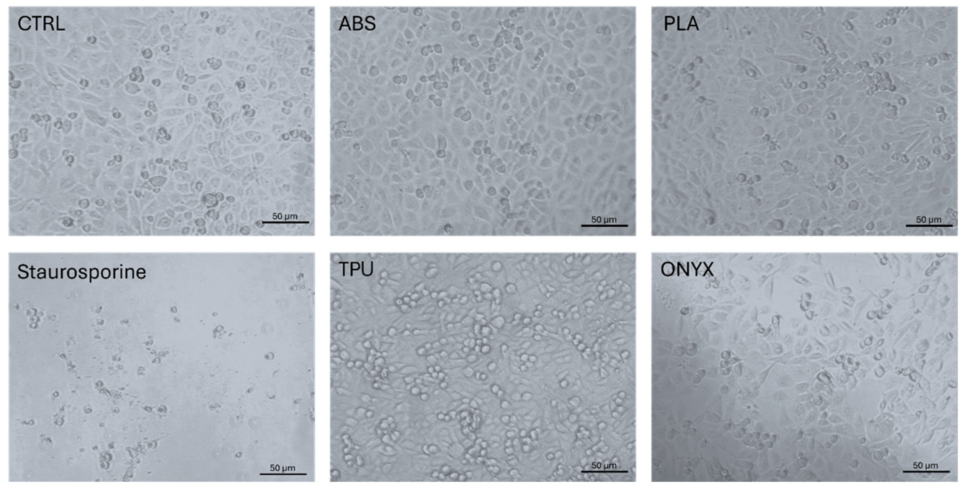 Polymers 16 02625 g020