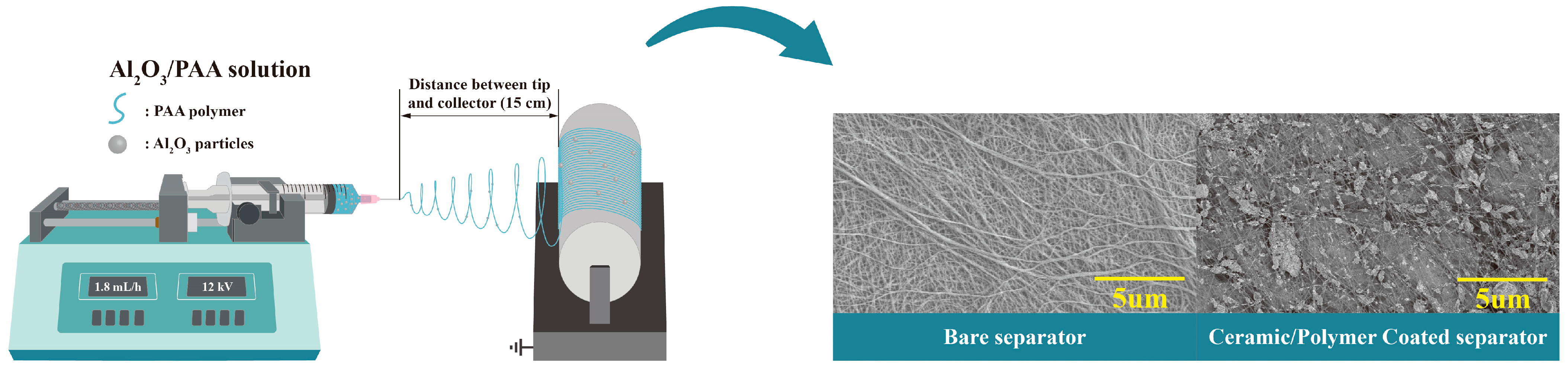 Polymers 16 02627 g001