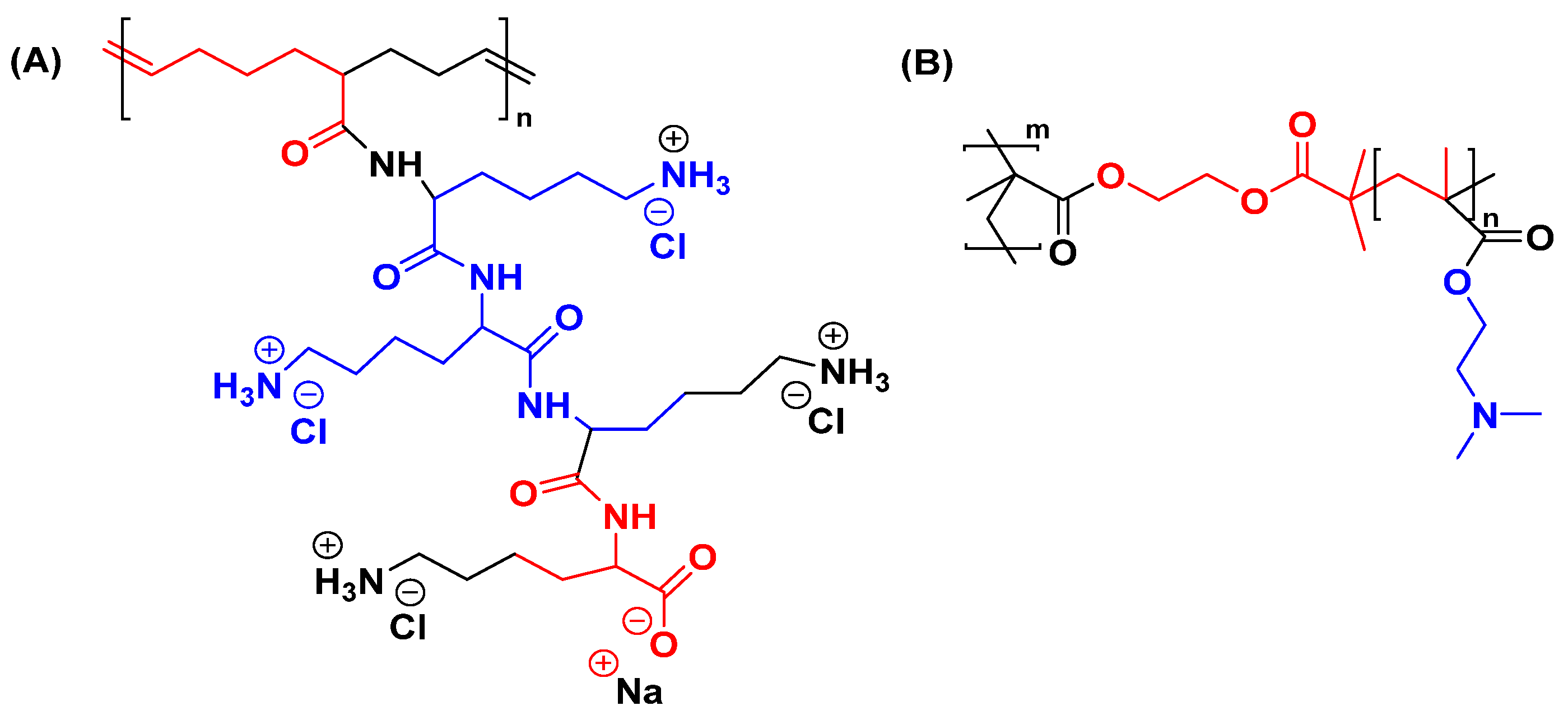 Polymers 16 02629 g013 Polymers 16 02629 g013