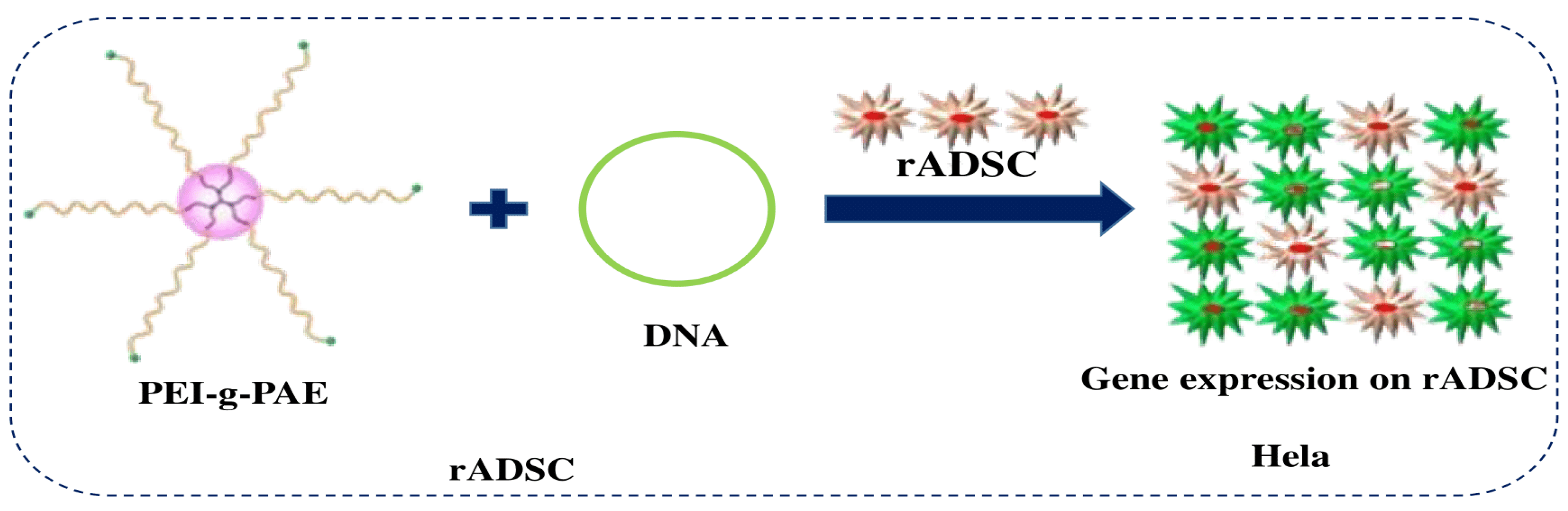 Polymers 16 02629 g017 Polymers 16 02629 g017