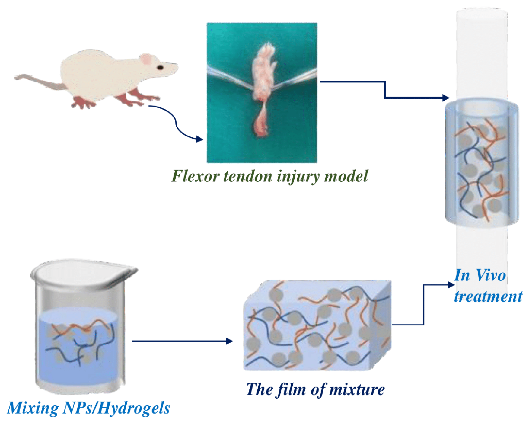 Polymers 16 02629 g018 Polymers 16 02629 g018