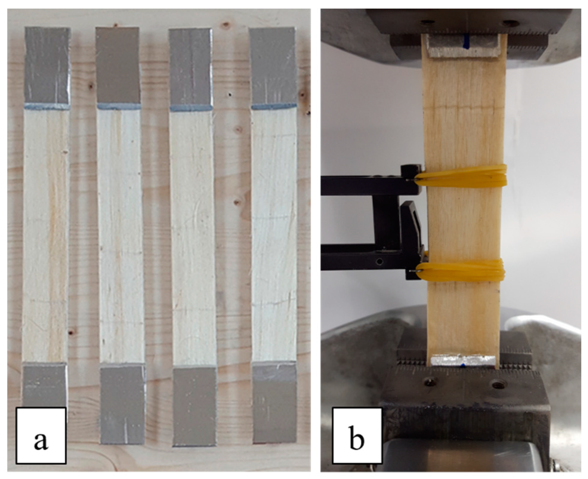 Polymers 16 02630 g003