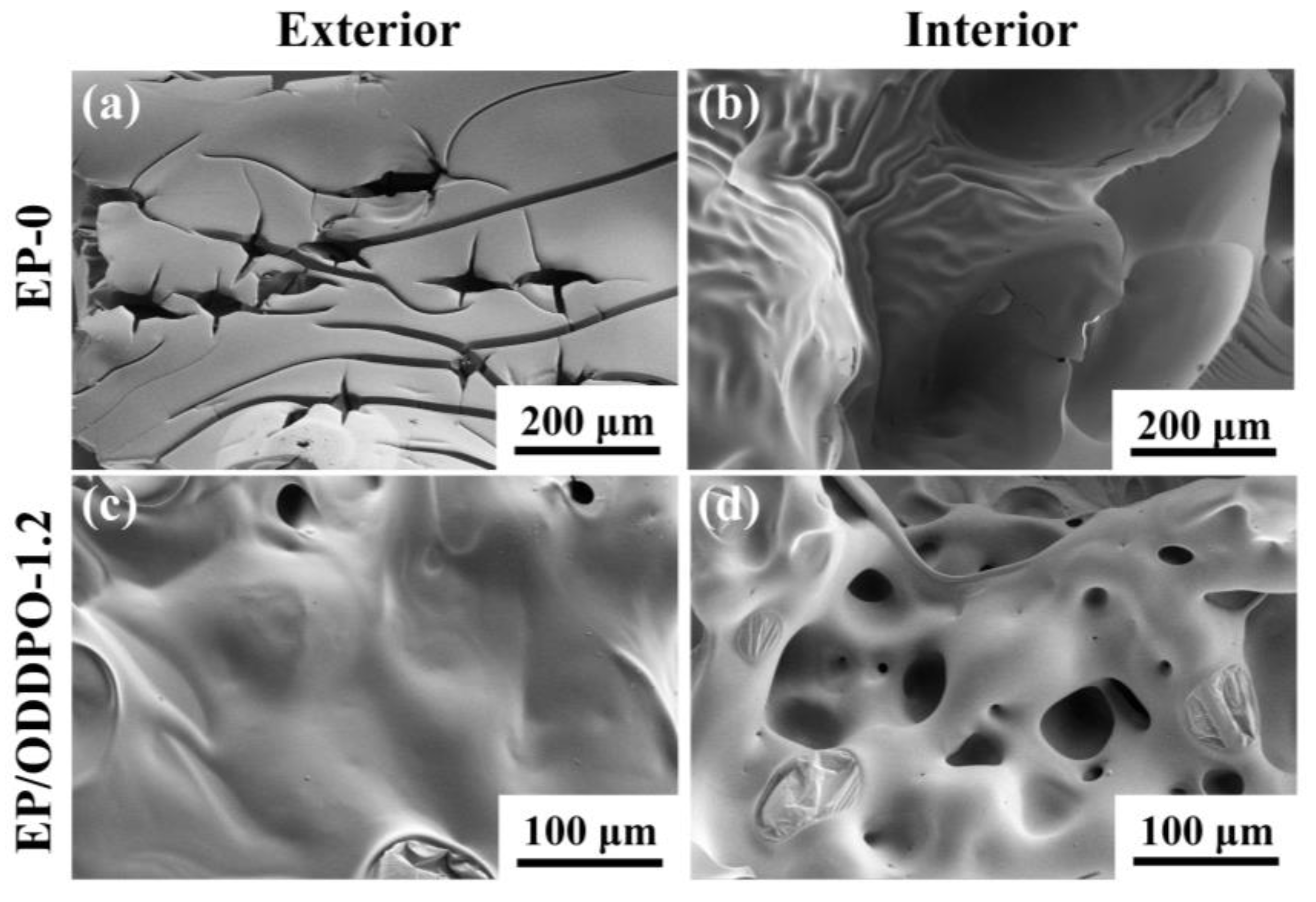 Polymers 16 02635 g005