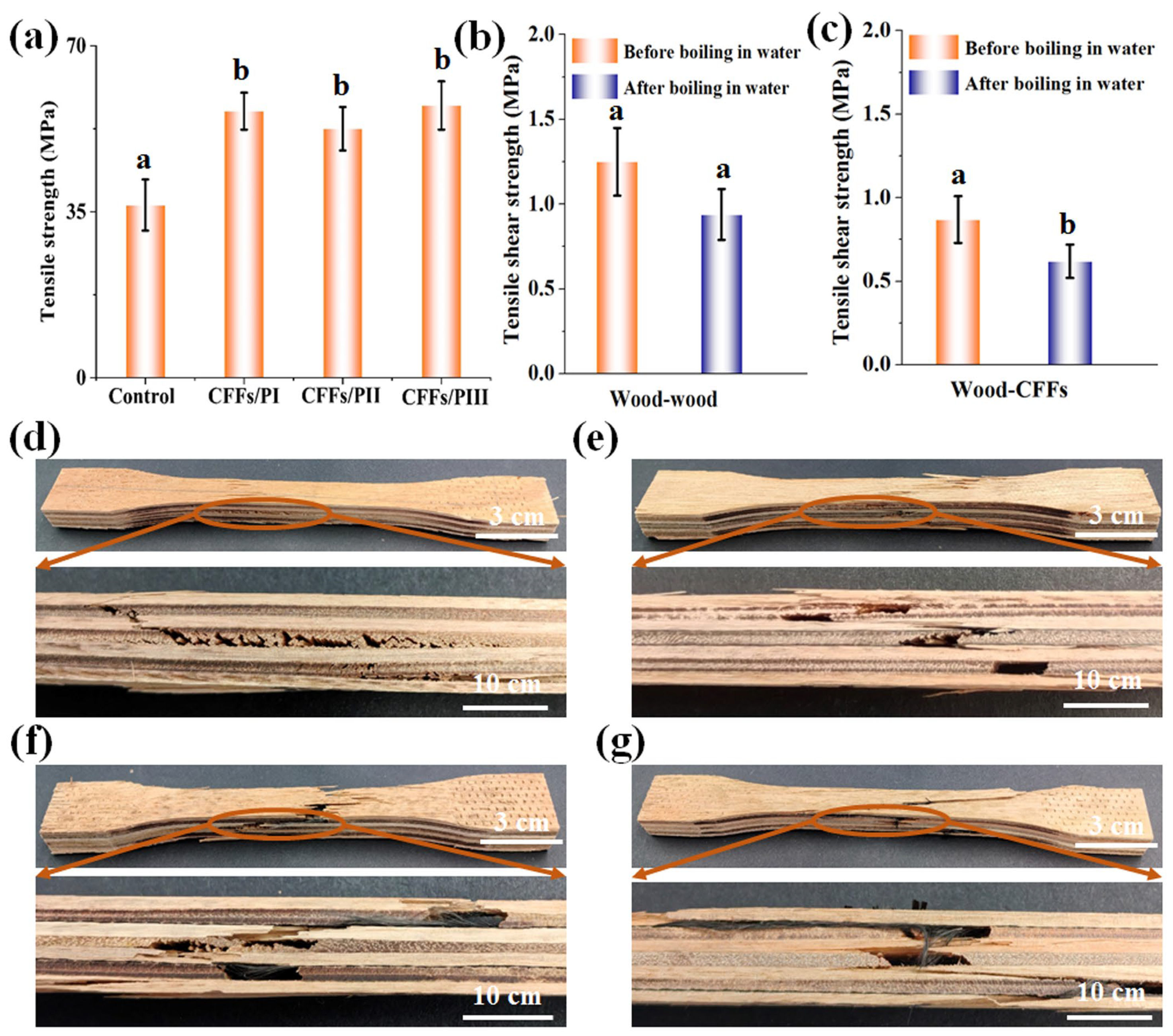 Polymers 16 02637 g002