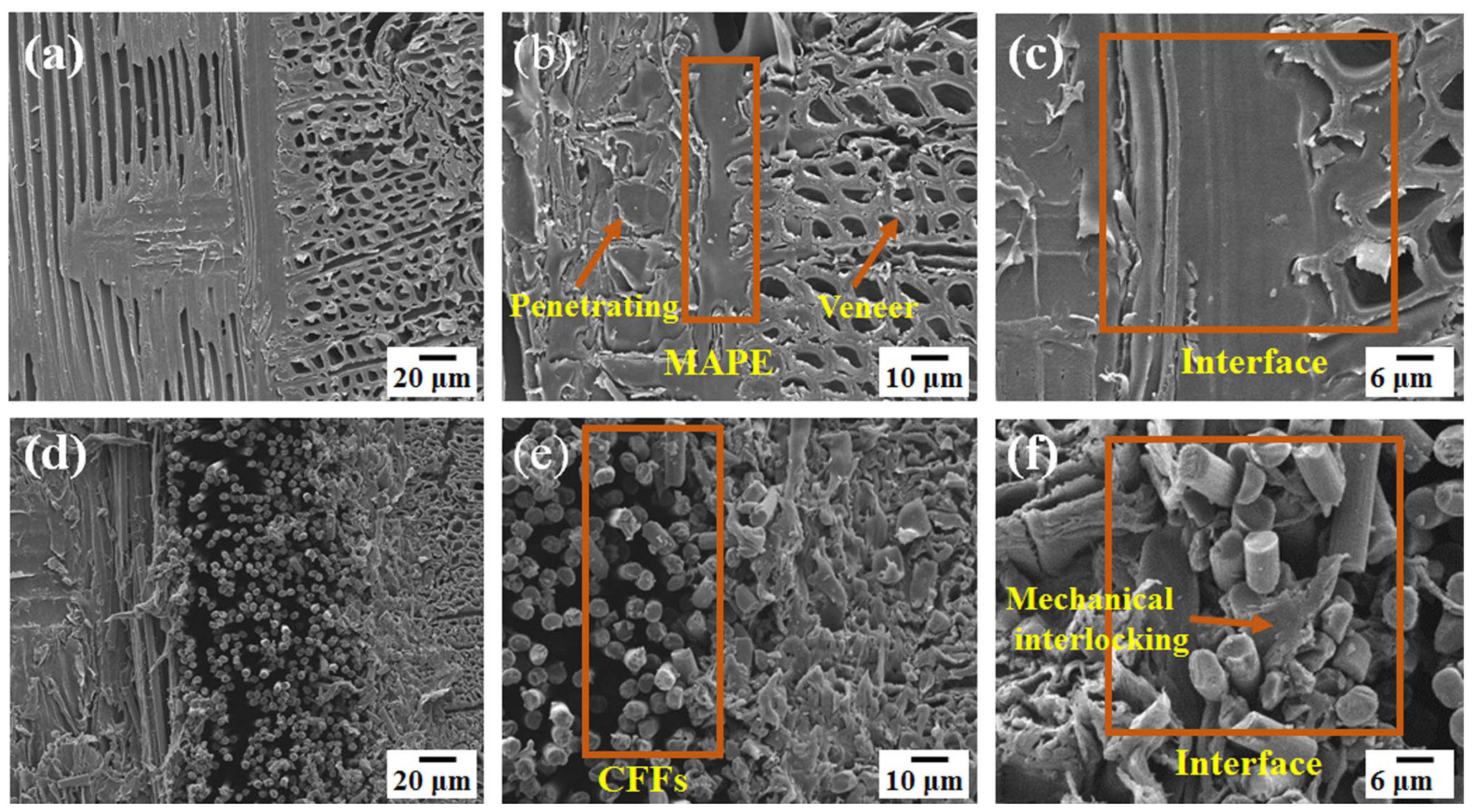 Polymers 16 02637 g005
