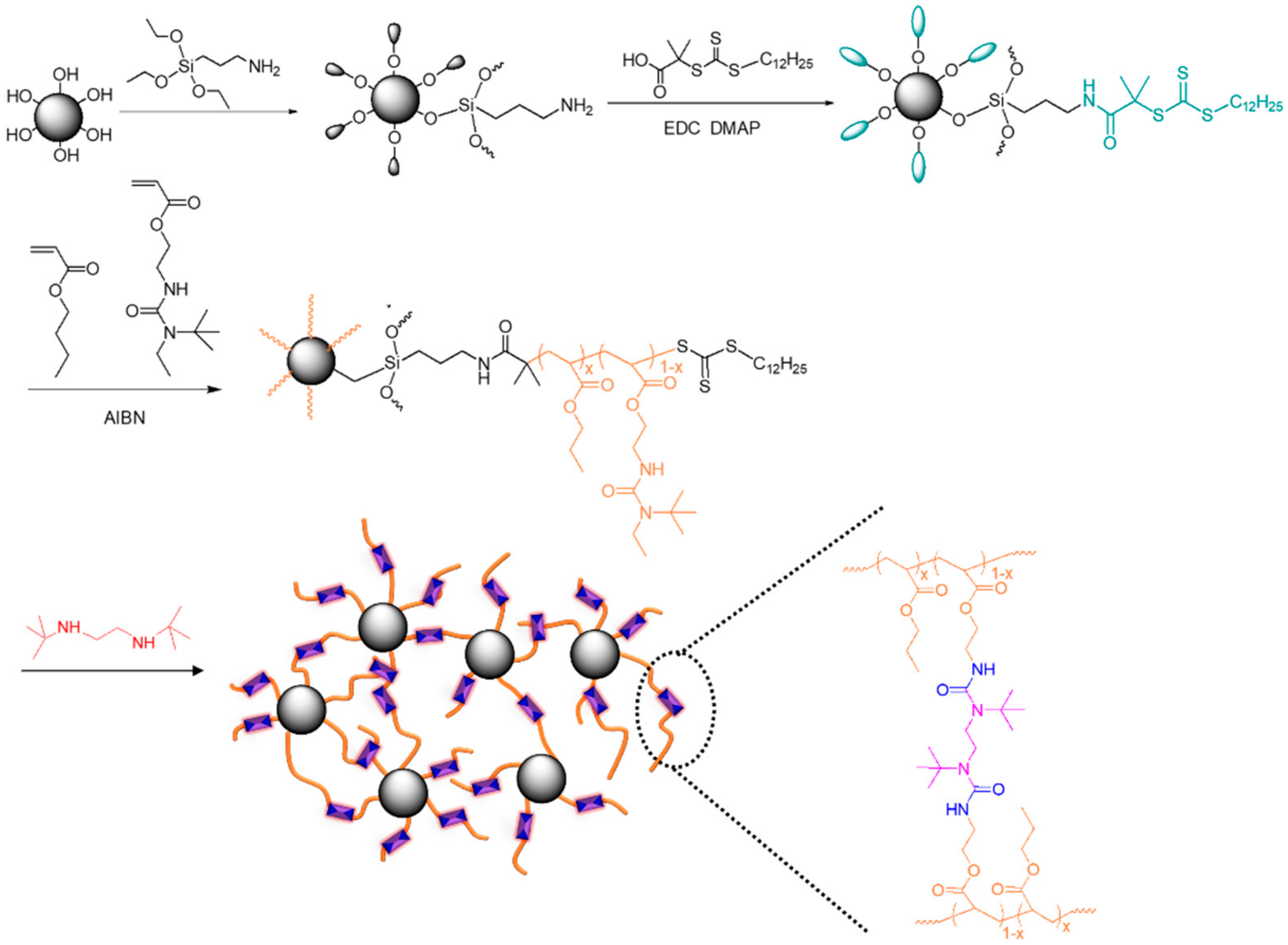 Polymers 16 02638 sch001