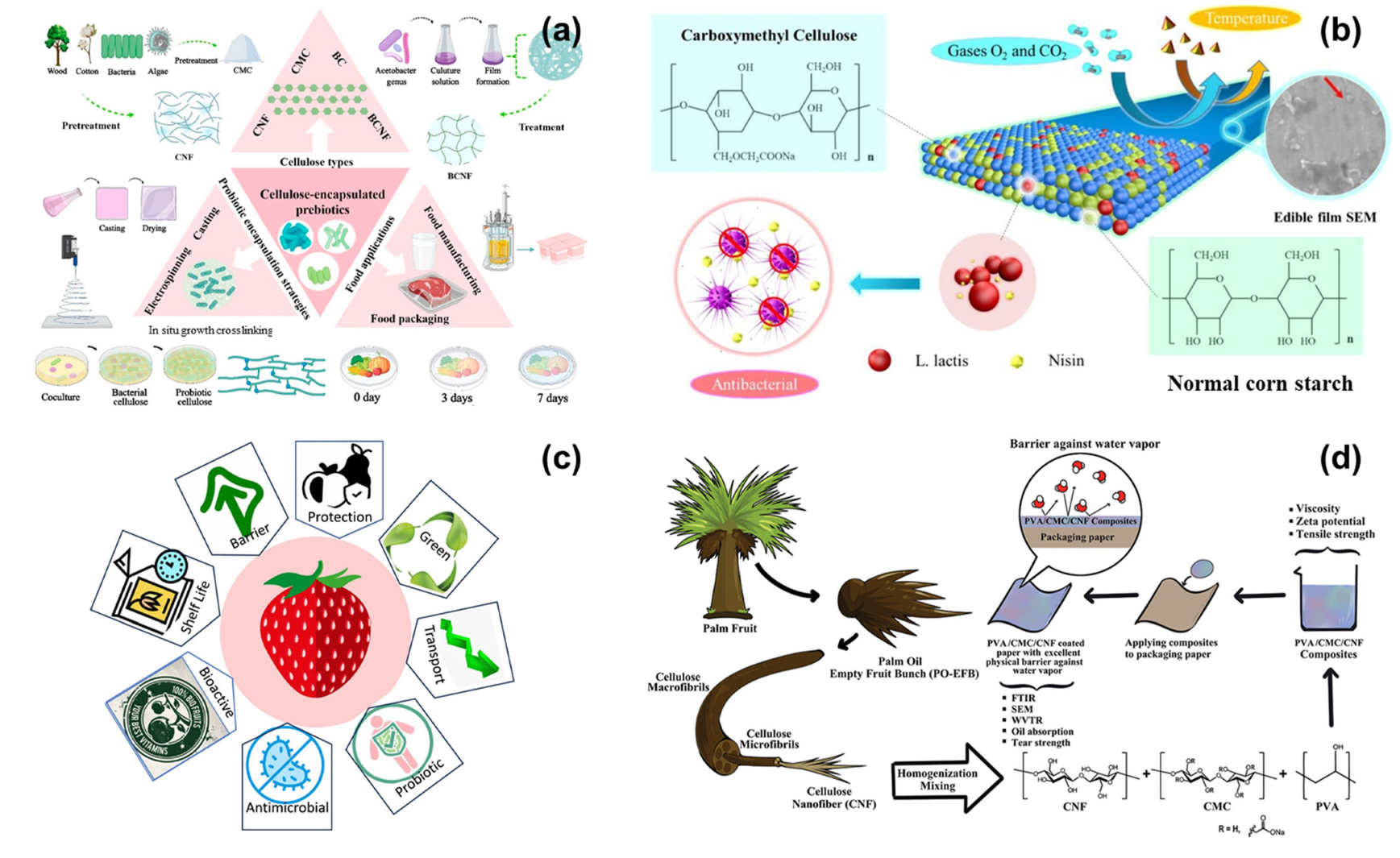 Polymers 16 02639 g003