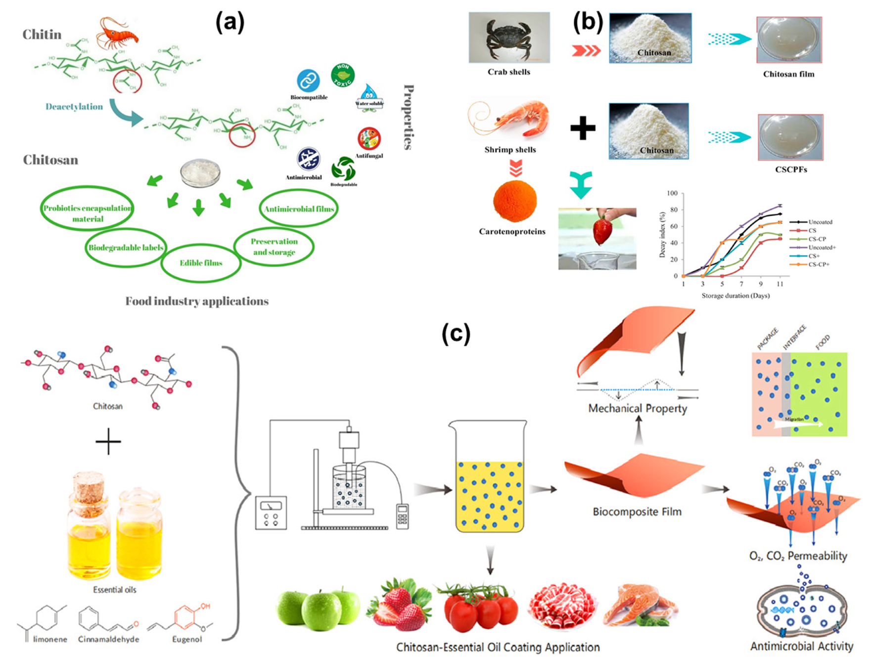Polymers 16 02639 g005