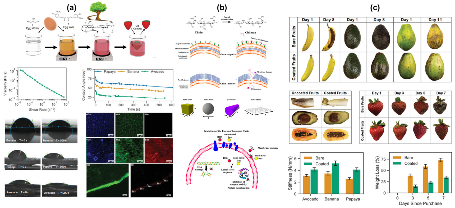 Polymers 16 02639 g008