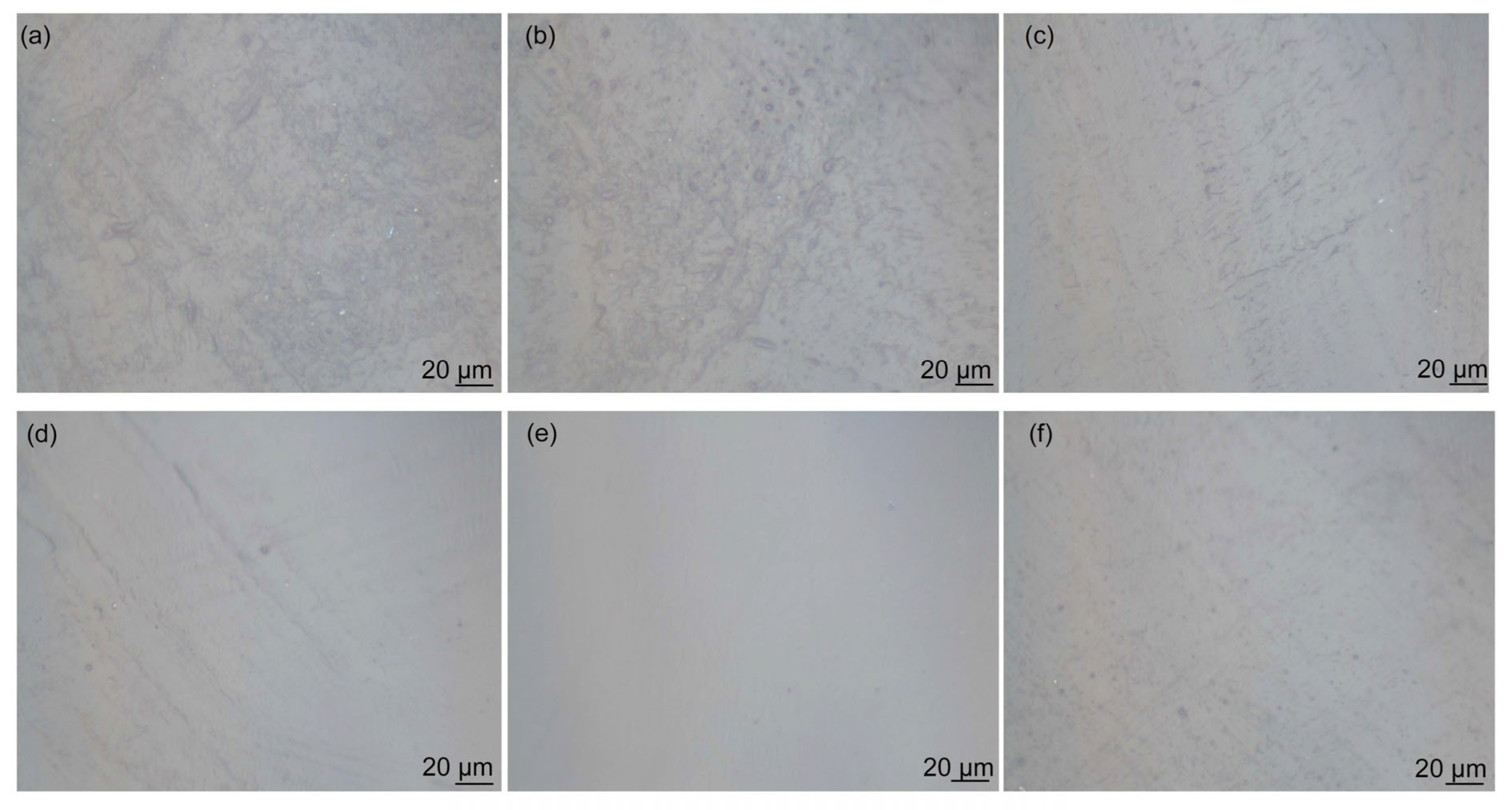 Polymers 16 02641 g008