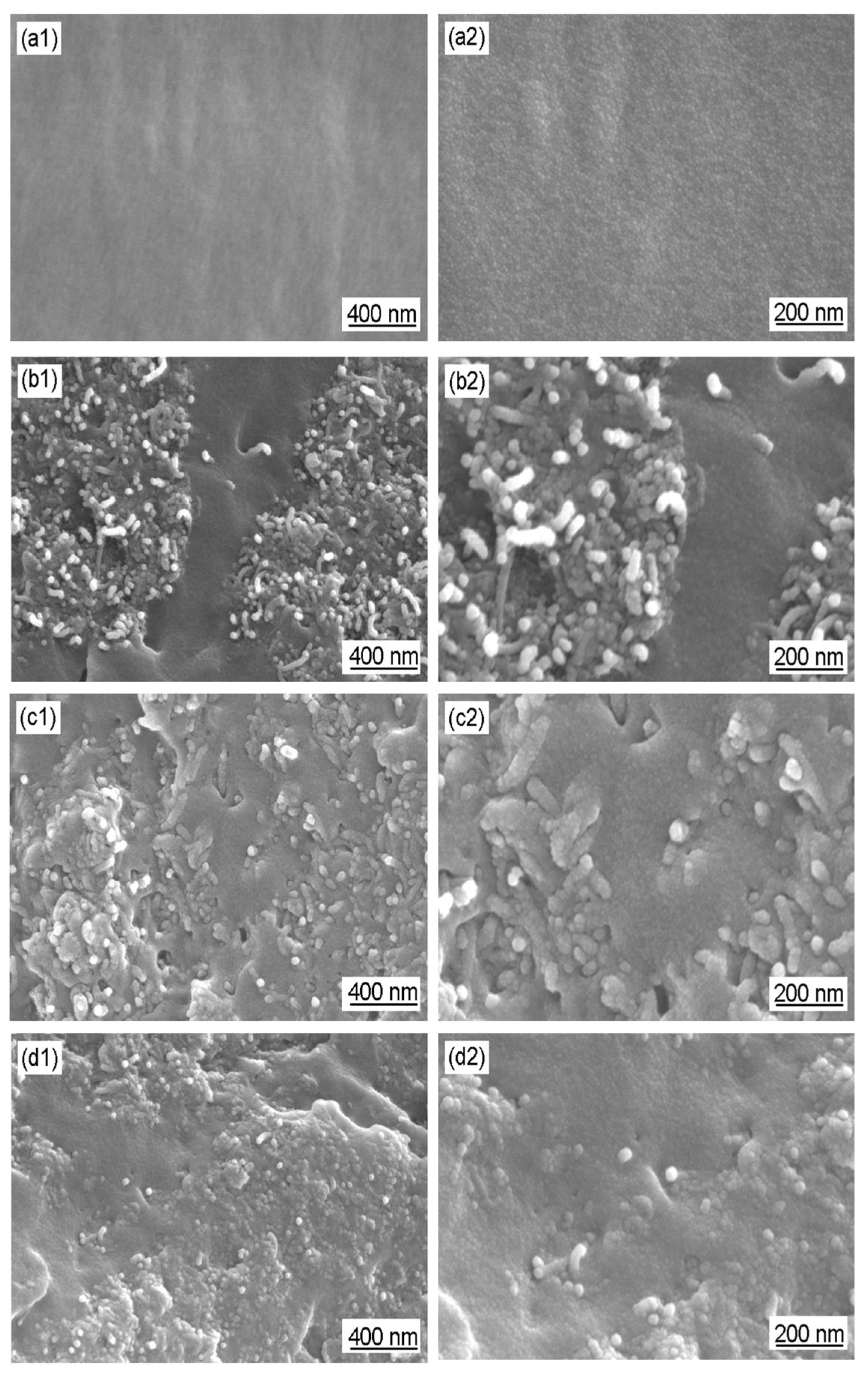 Polymers 16 02641 g009