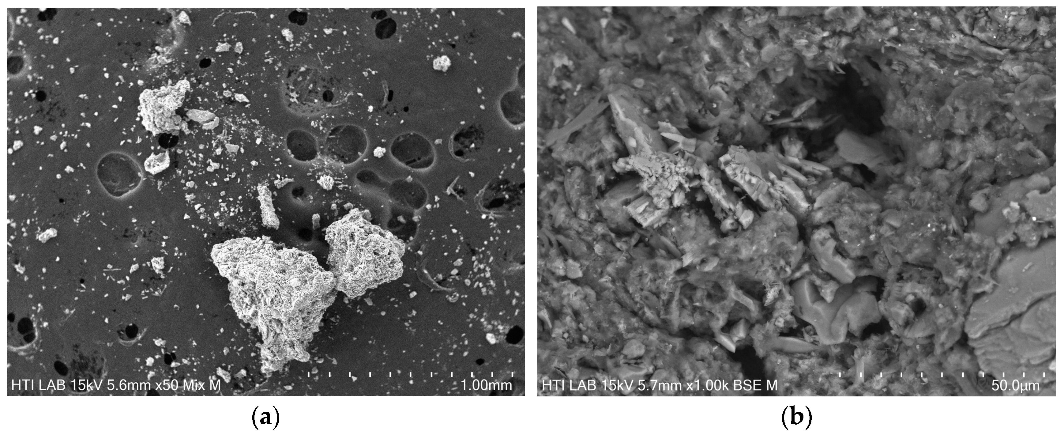 Polymers 16 02646 g005 Polymers 16 02646 g005