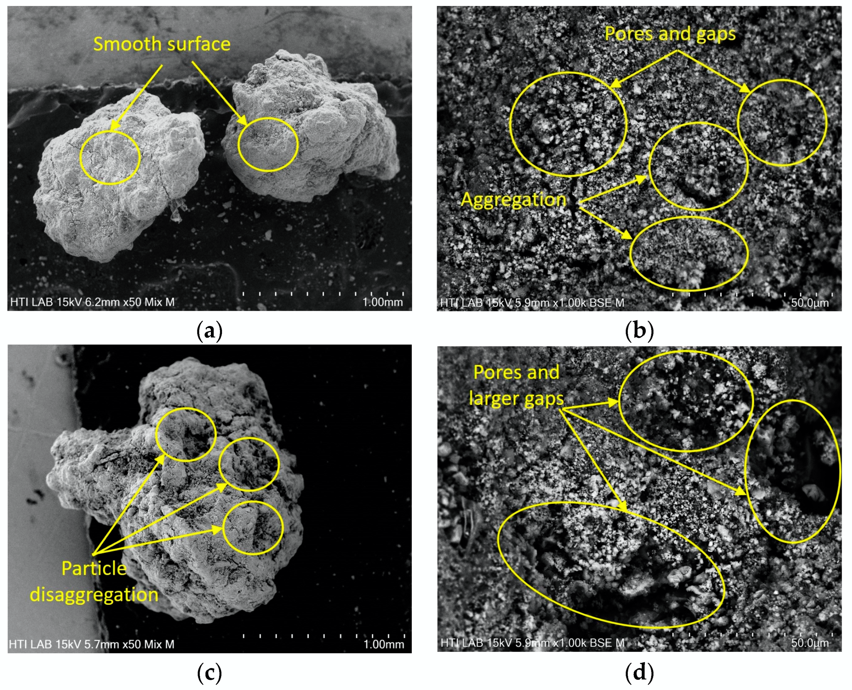Polymers 16 02646 g006 Polymers 16 02646 g006