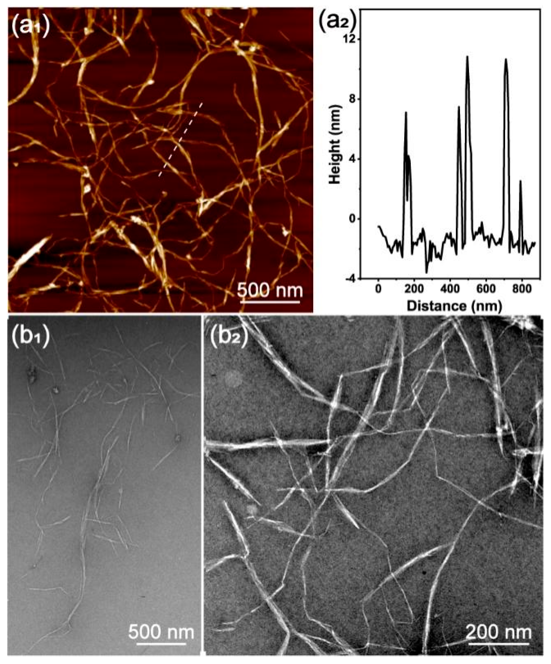 Polymers 16 02648 g001