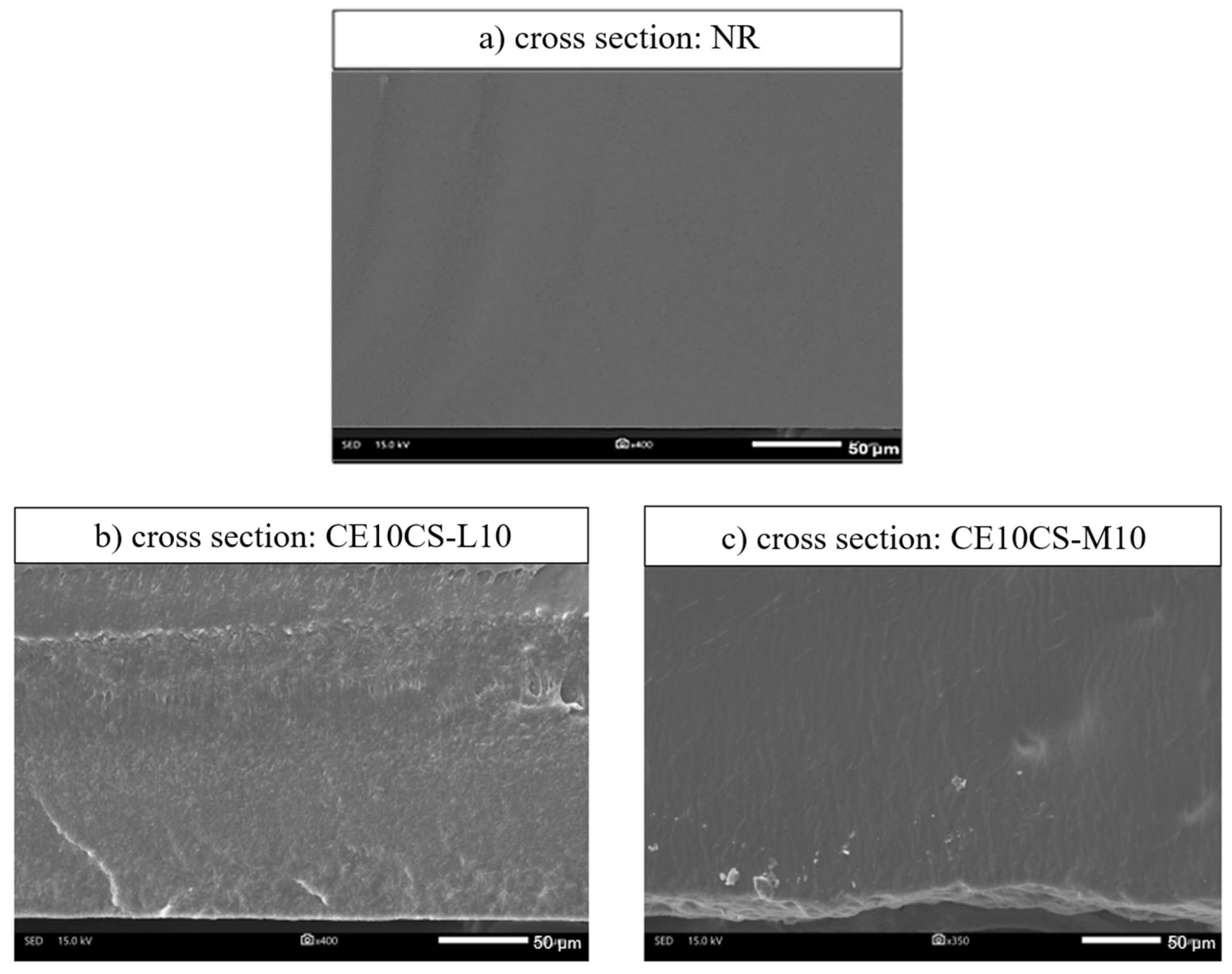 Polymers 16 02652 g002 Polymers 16 02652 g002