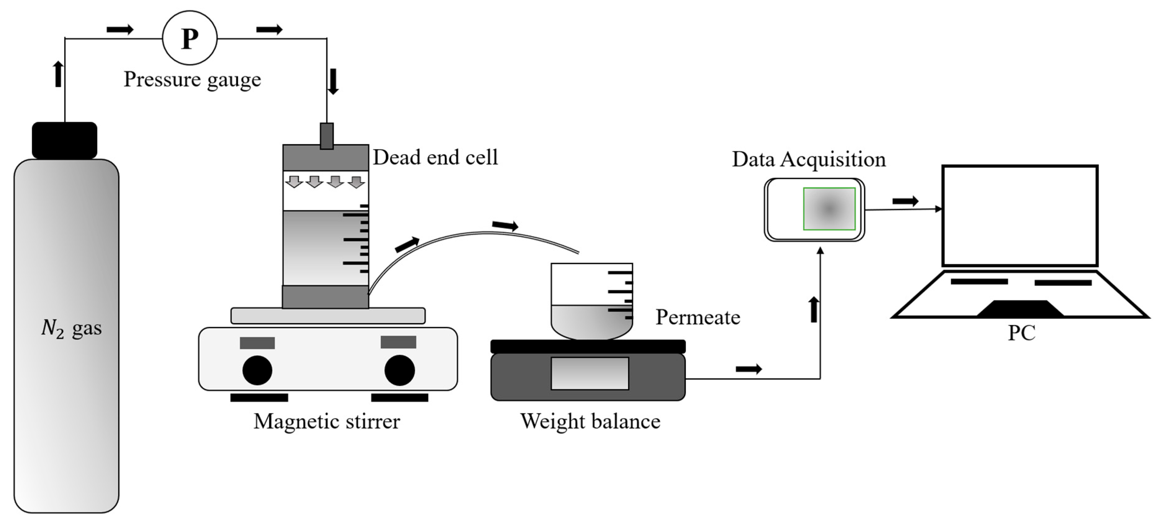Polymers 16 02654 g001
