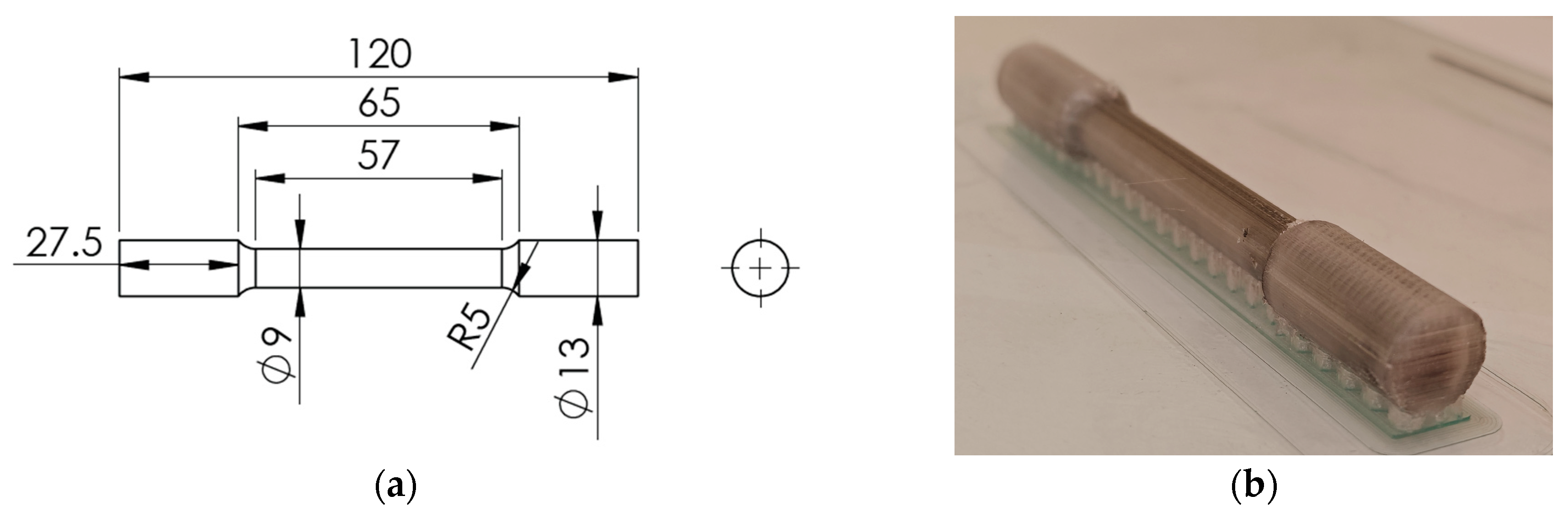 Polymers 16 02656 g002