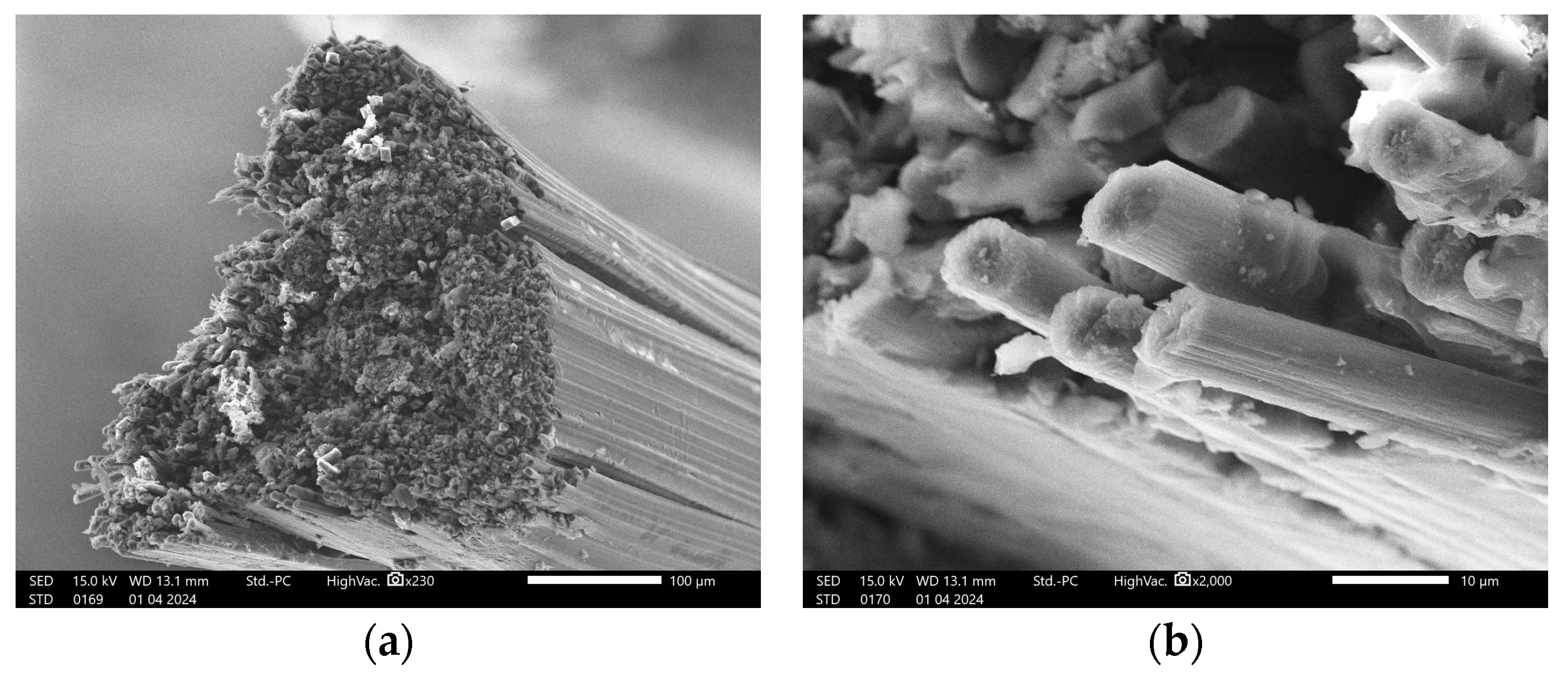 Polymers 16 02656 g004