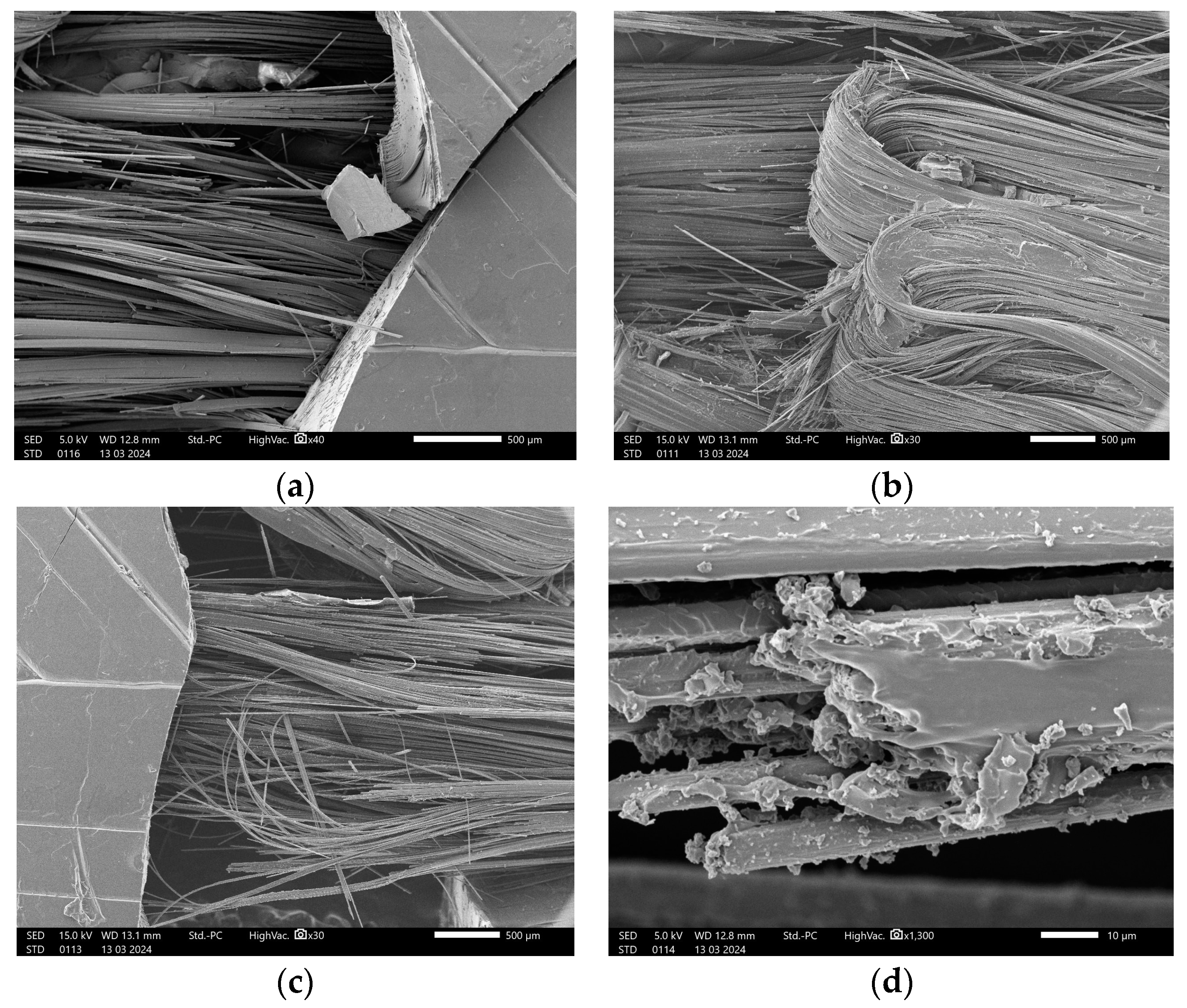 Polymers 16 02656 g008