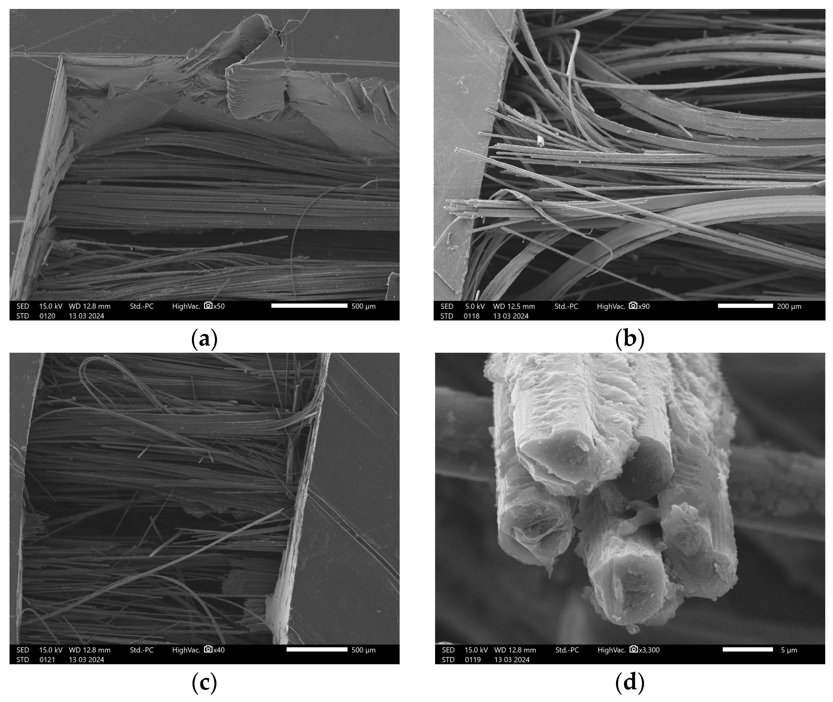 Polymers 16 02656 g009