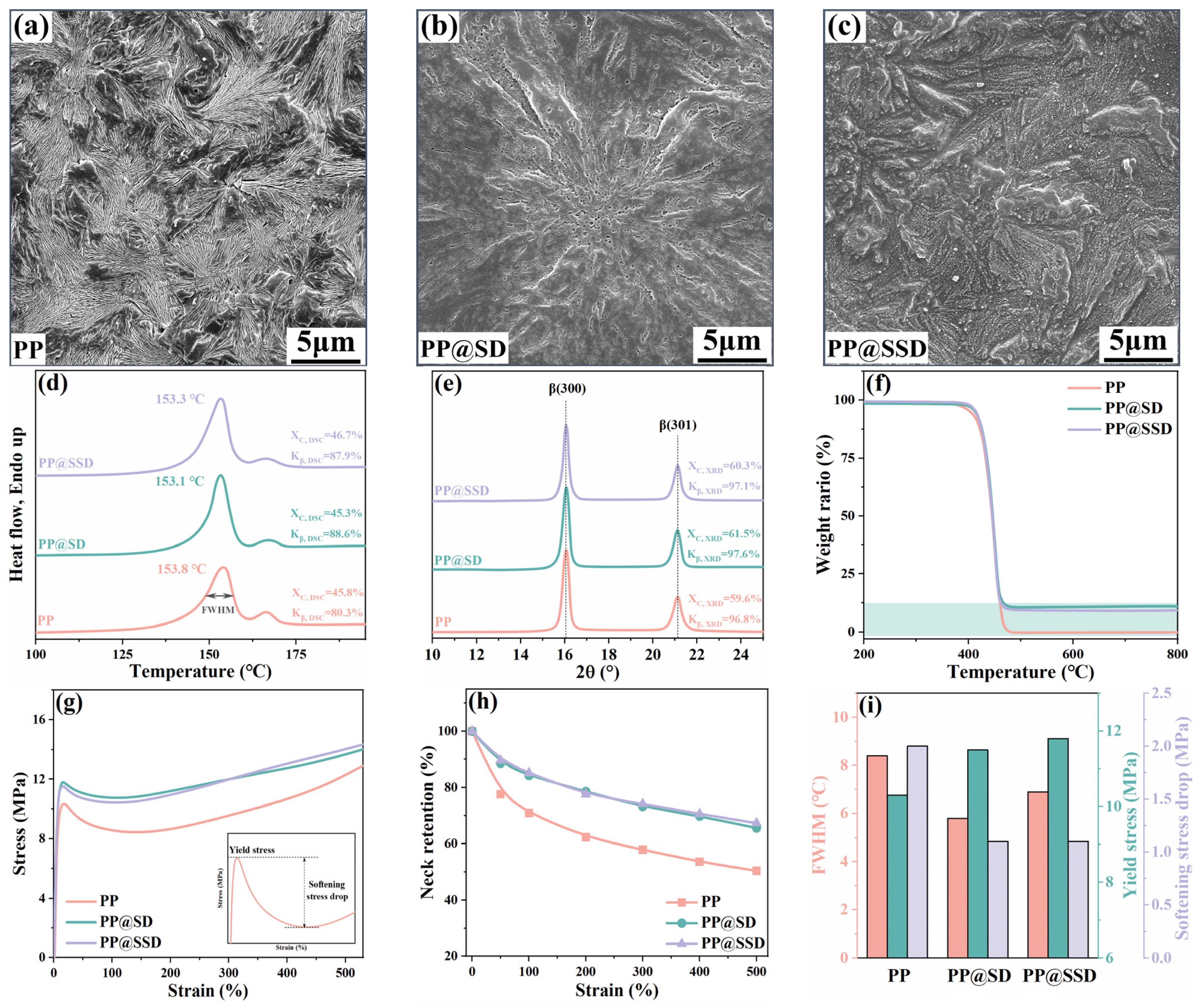 Polymers 16 02659 g001
