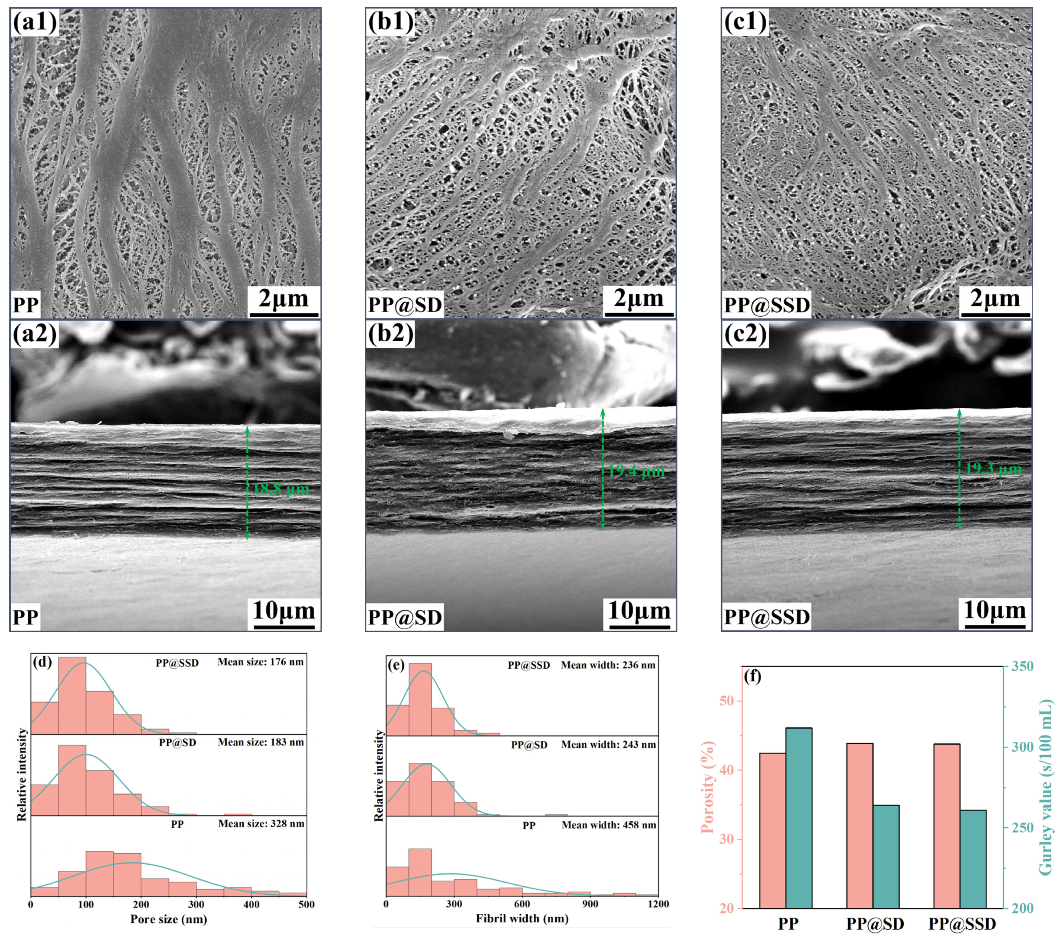 Polymers 16 02659 g002