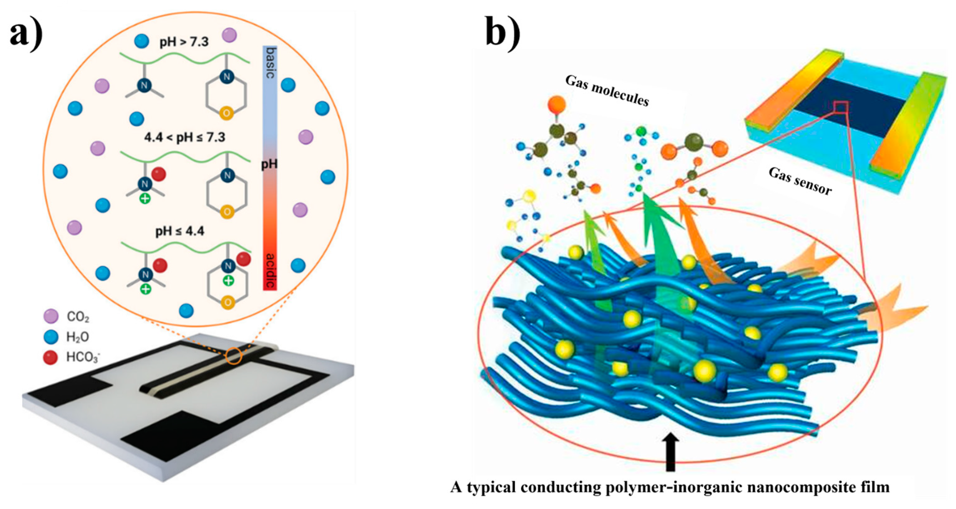 Polymers 16 02660 g011