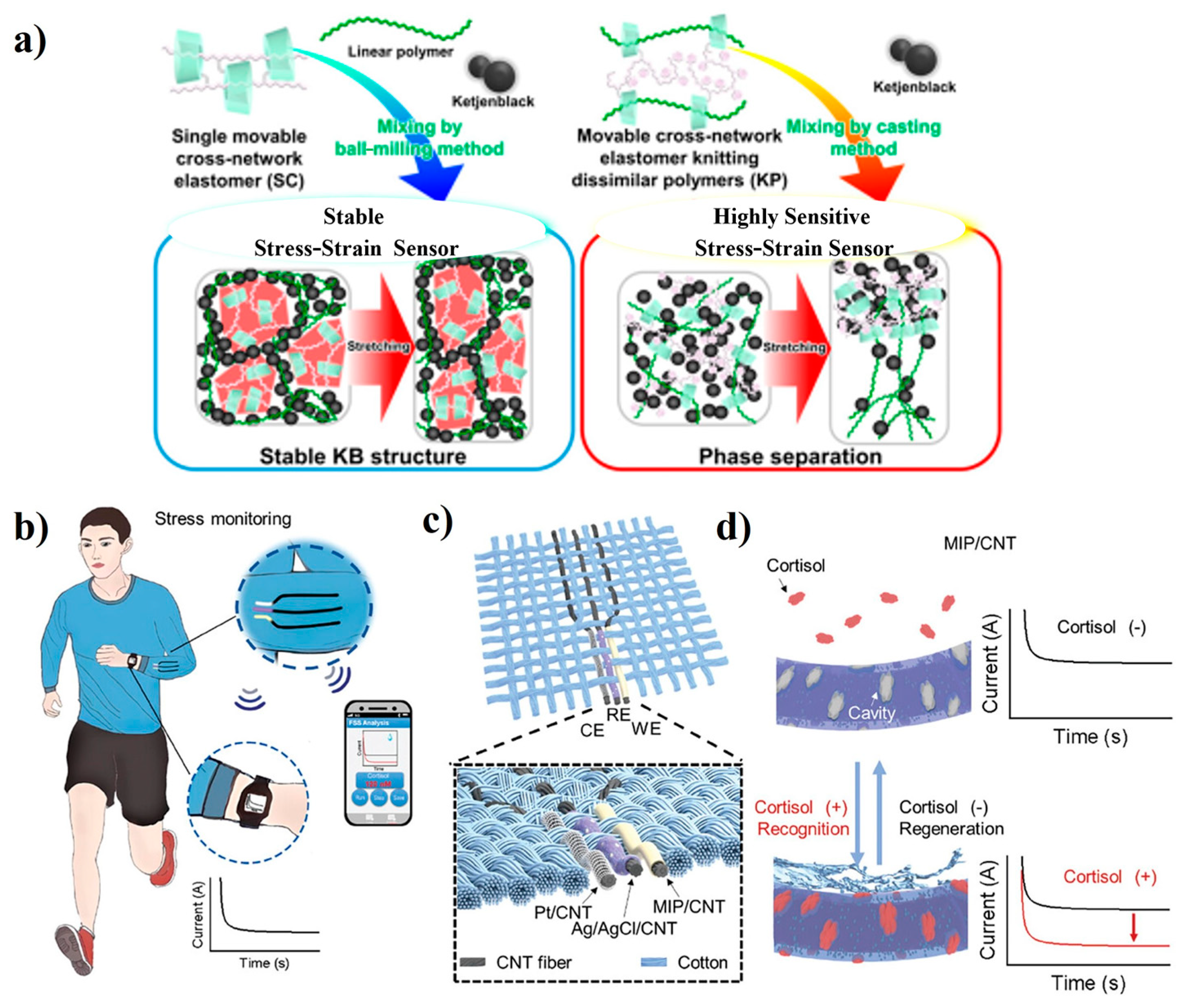 Polymers 16 02660 g012