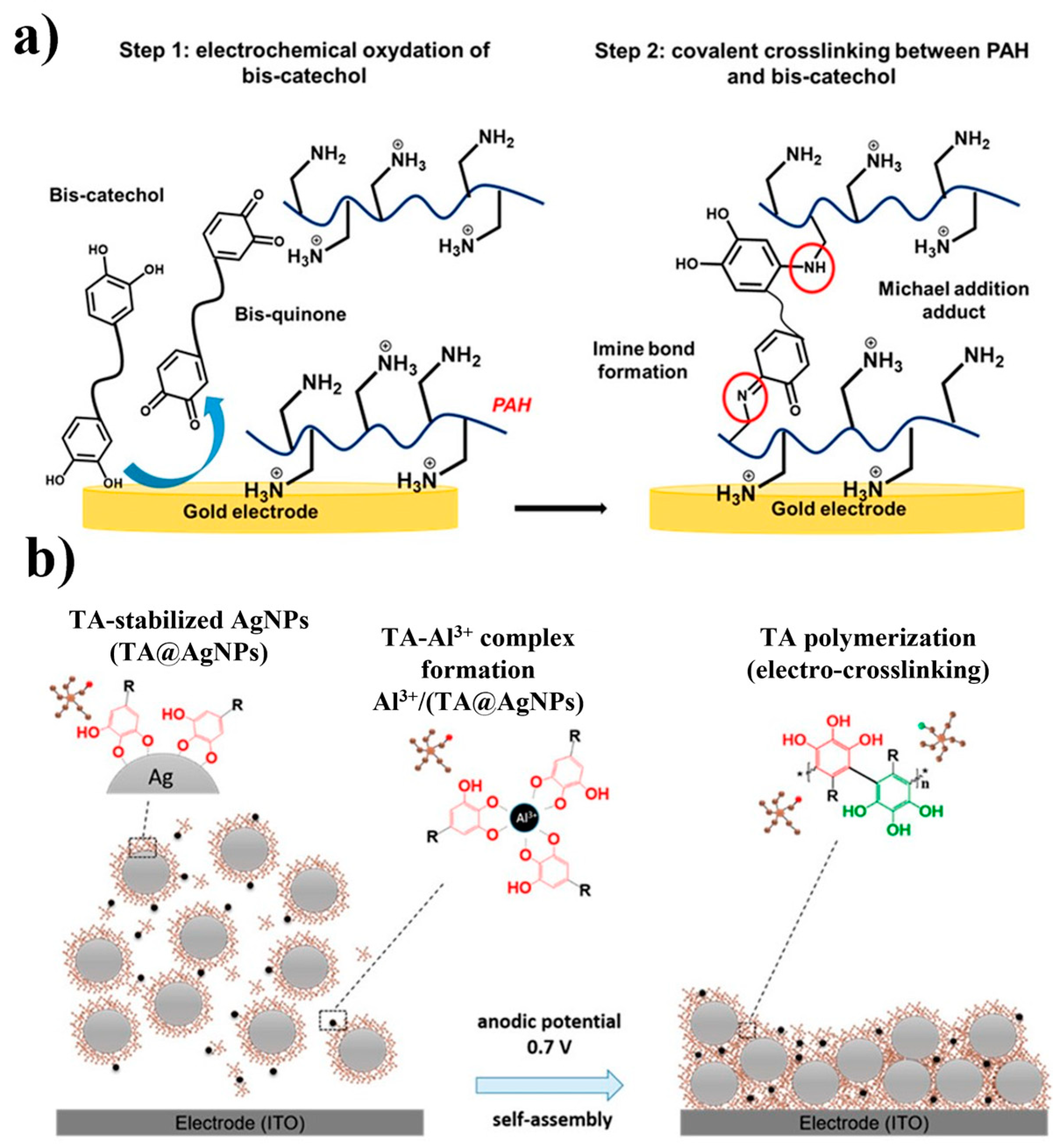 Polymers 16 02660 g013