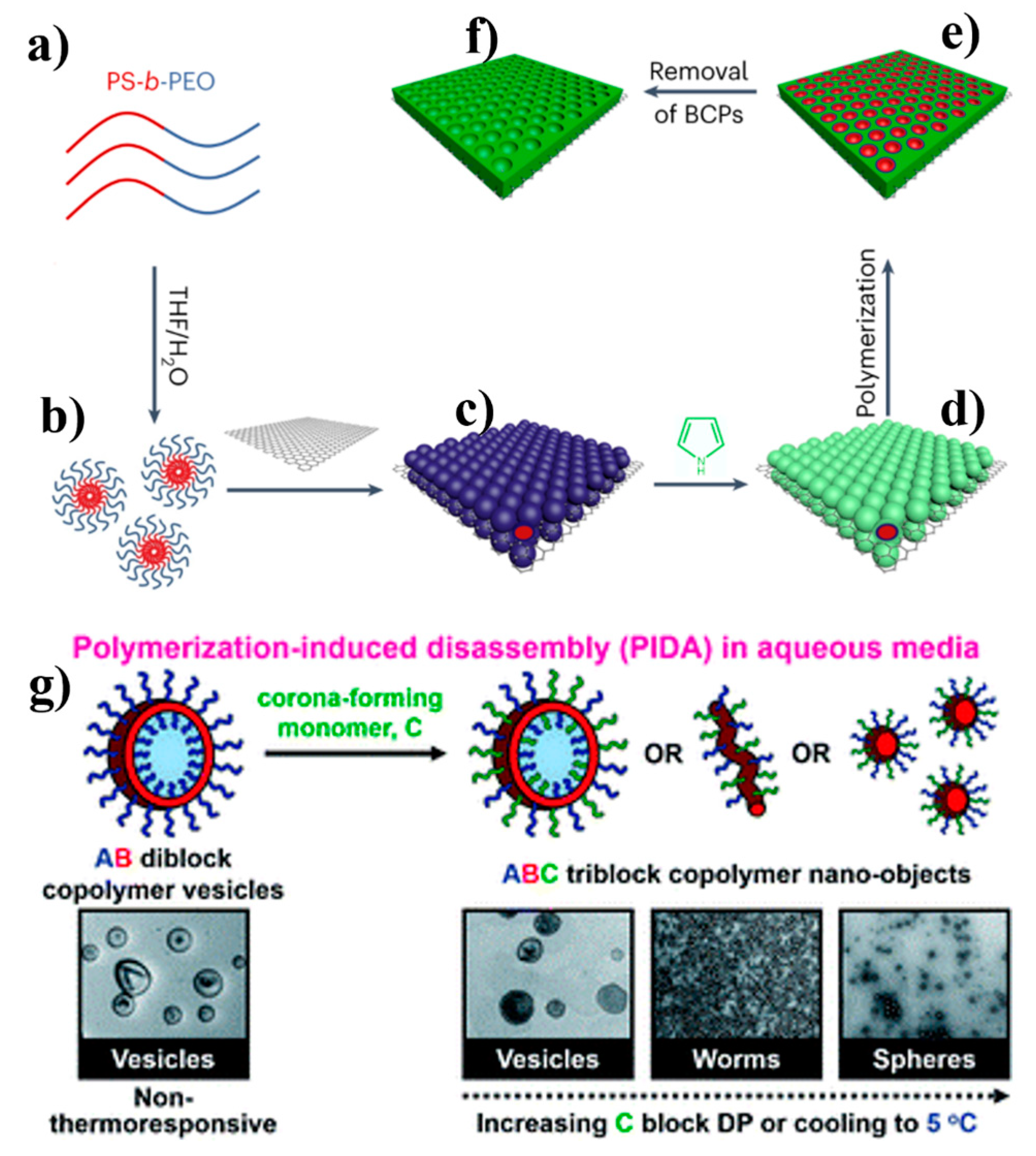 Polymers 16 02660 g014