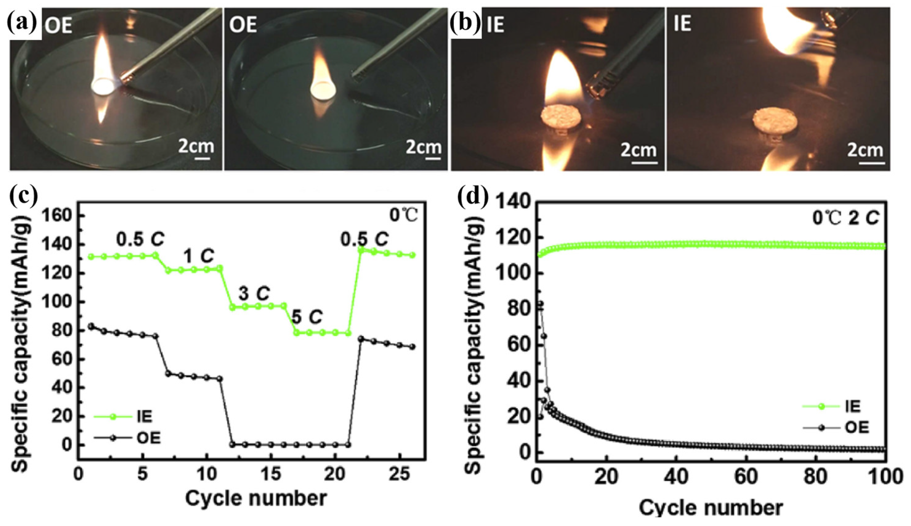 Polymers 16 02661 g011